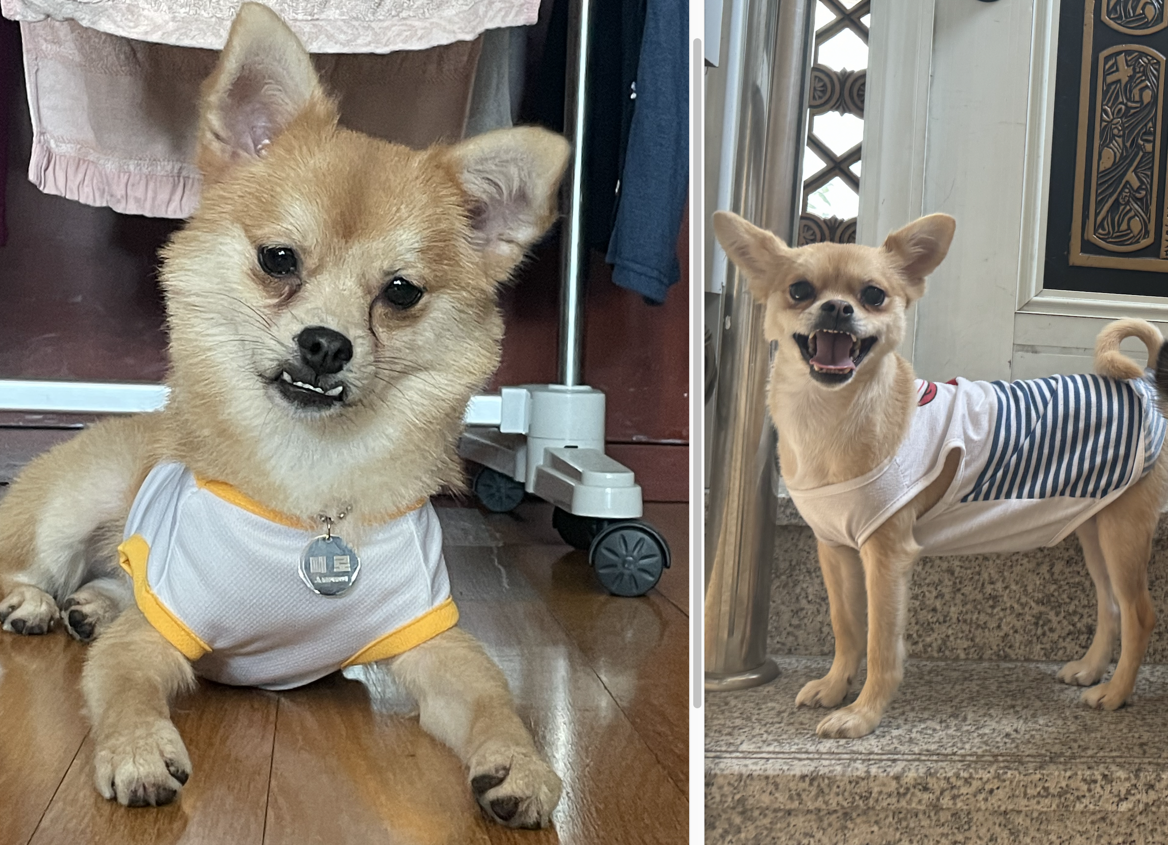 미로(구 오원) 2년 이야기