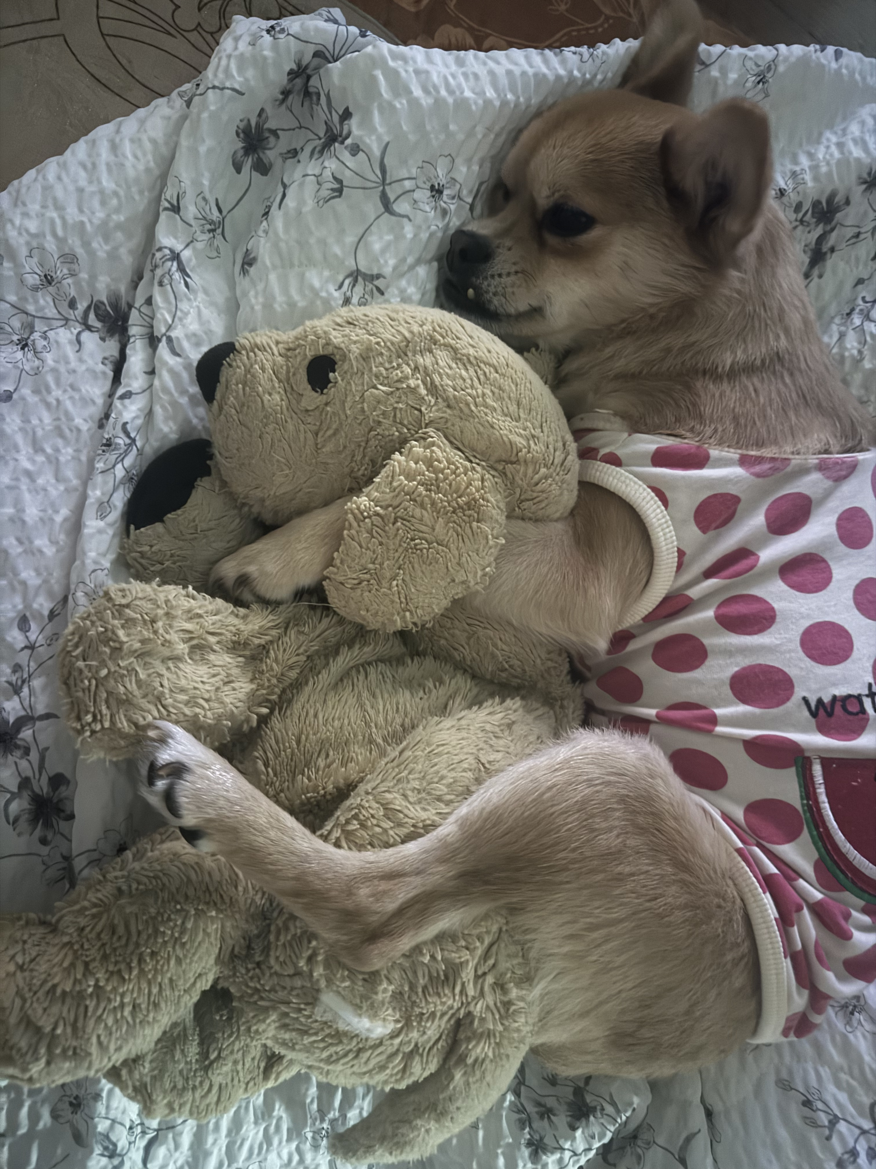 미로(구 오원) 2년 이야기