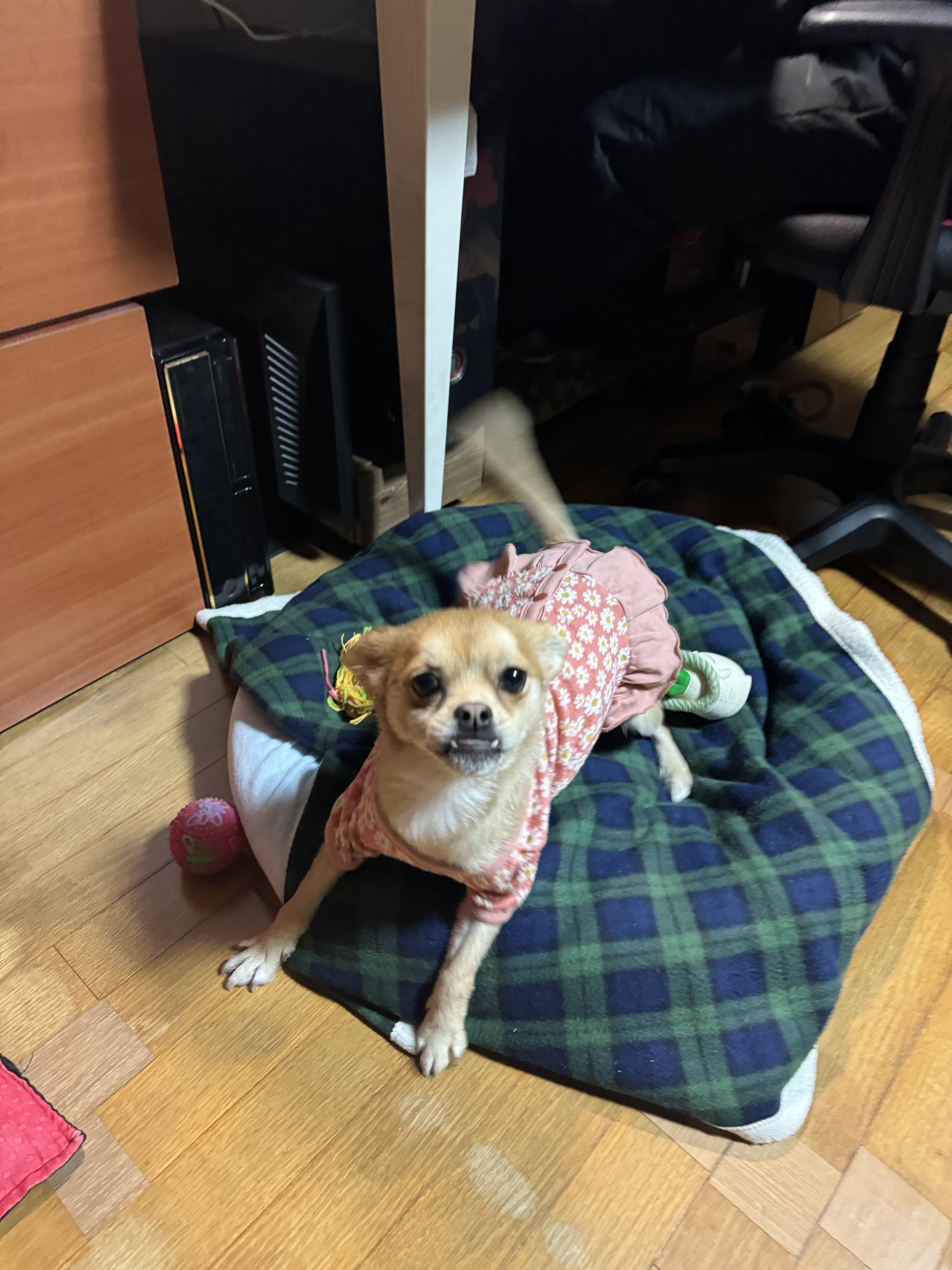 미로(구 오원) 2년 이야기