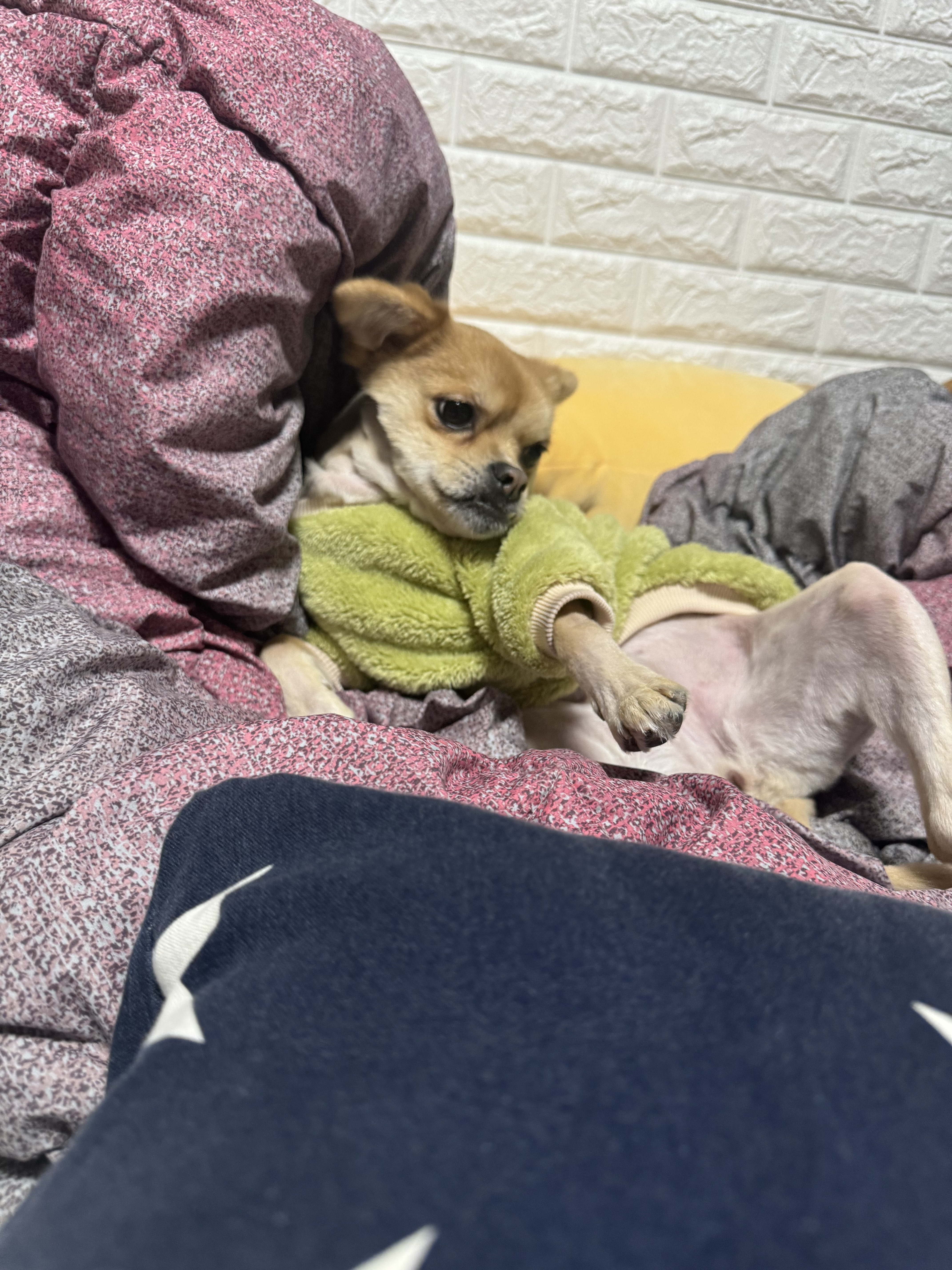 미로(구 오원) 2년 이야기