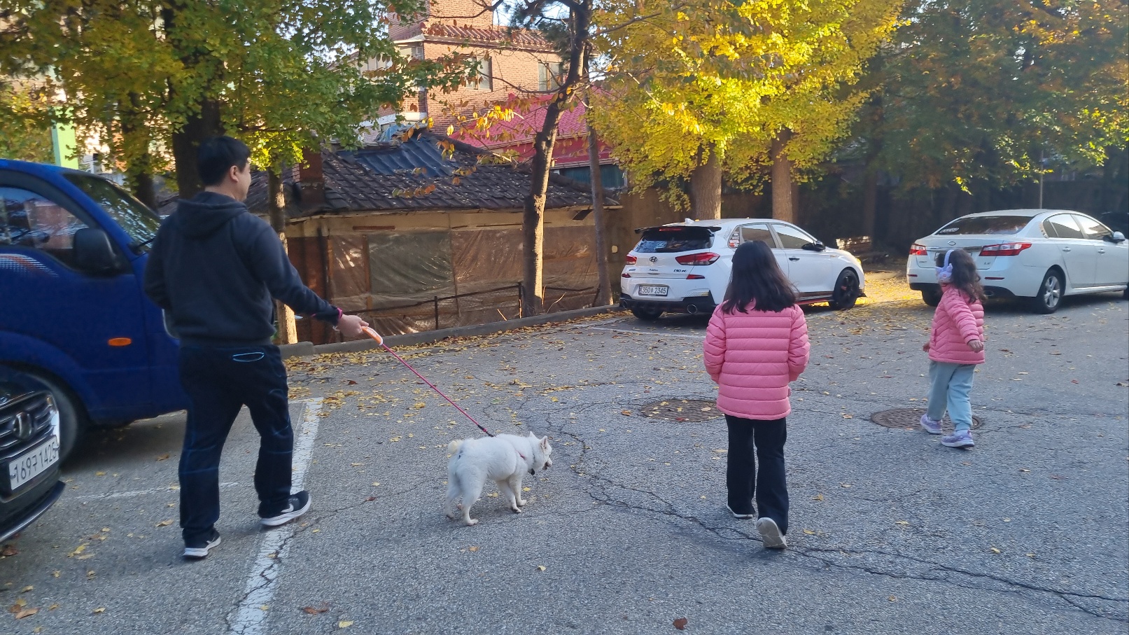 럭키(舊 아유)의 임시보호 1주차 생활