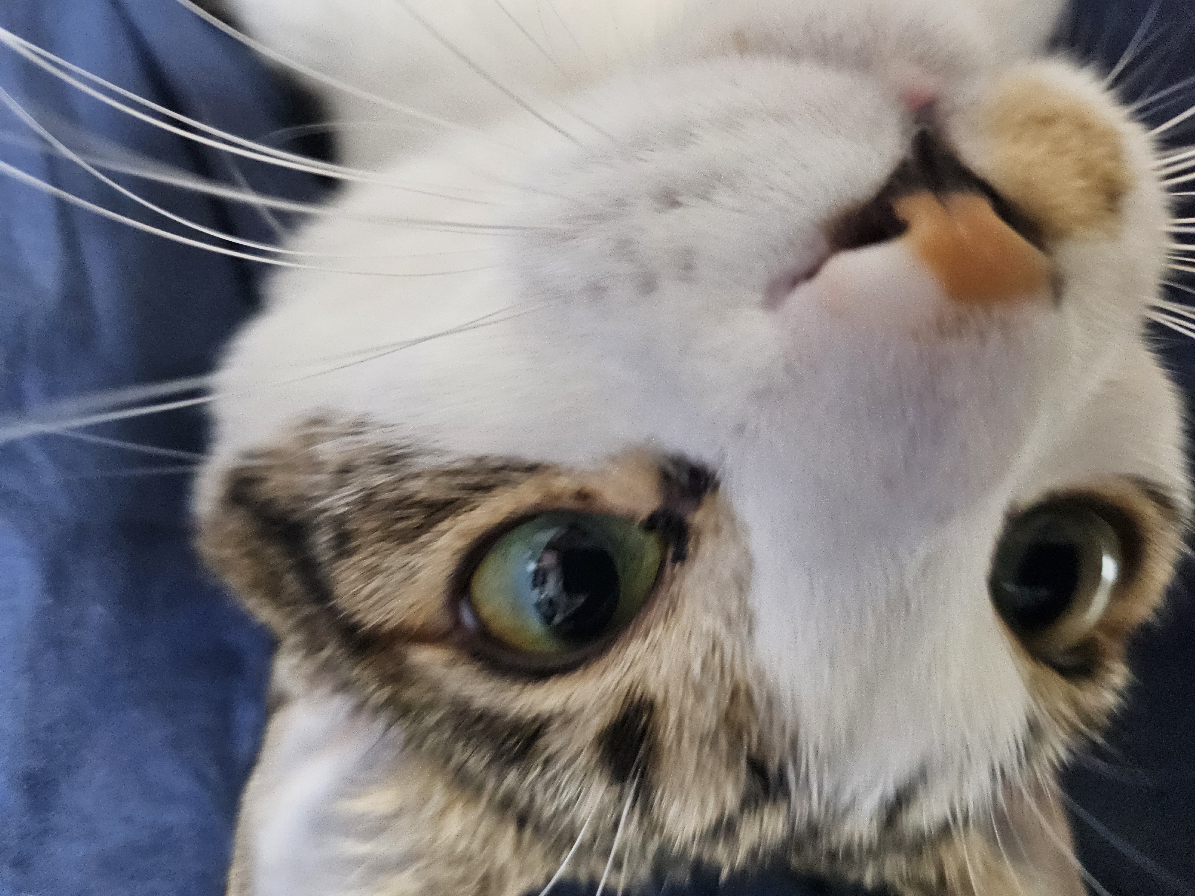 탄이와 함께 2025년으로