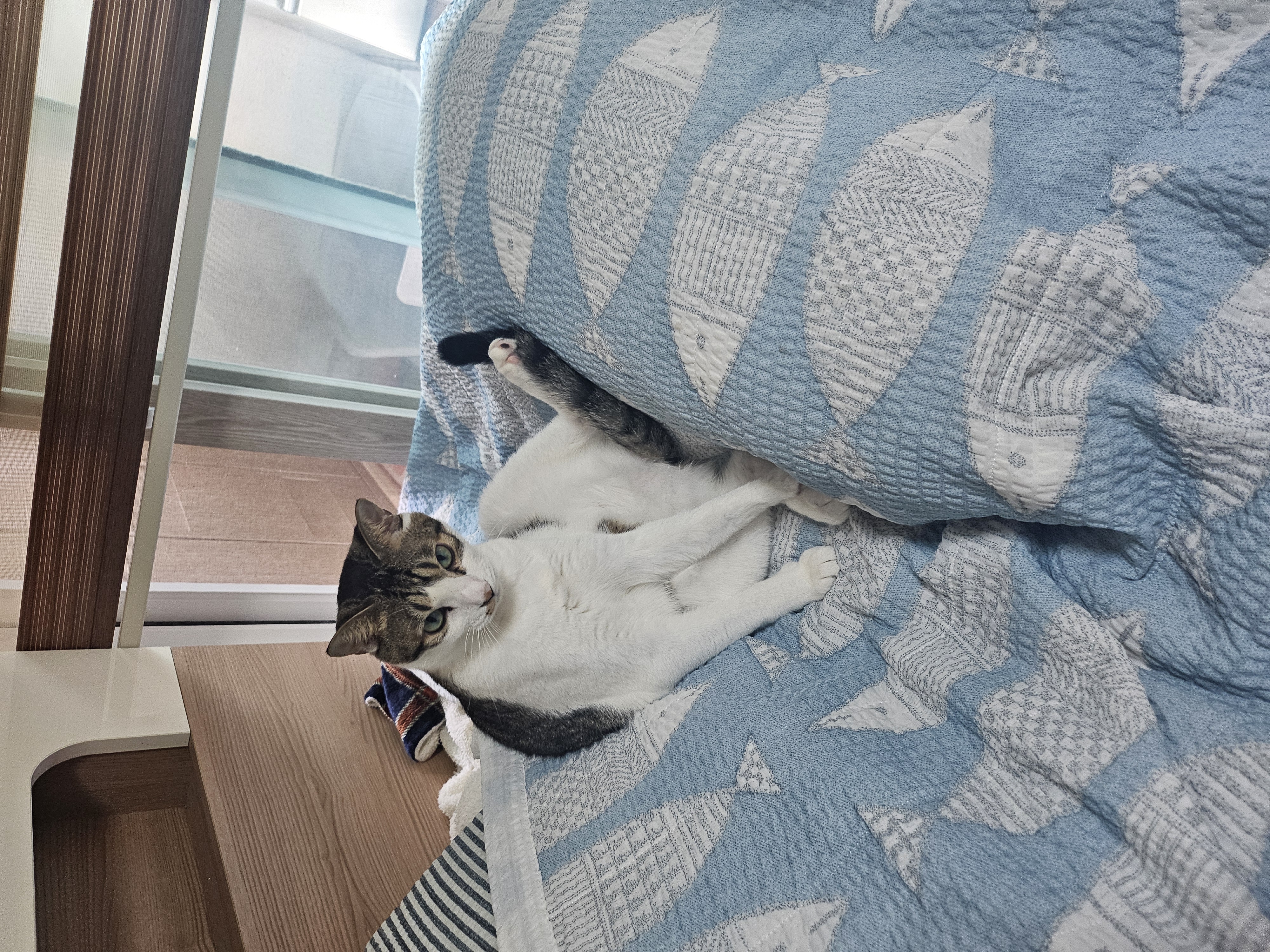 탄이와 함께 2025년으로