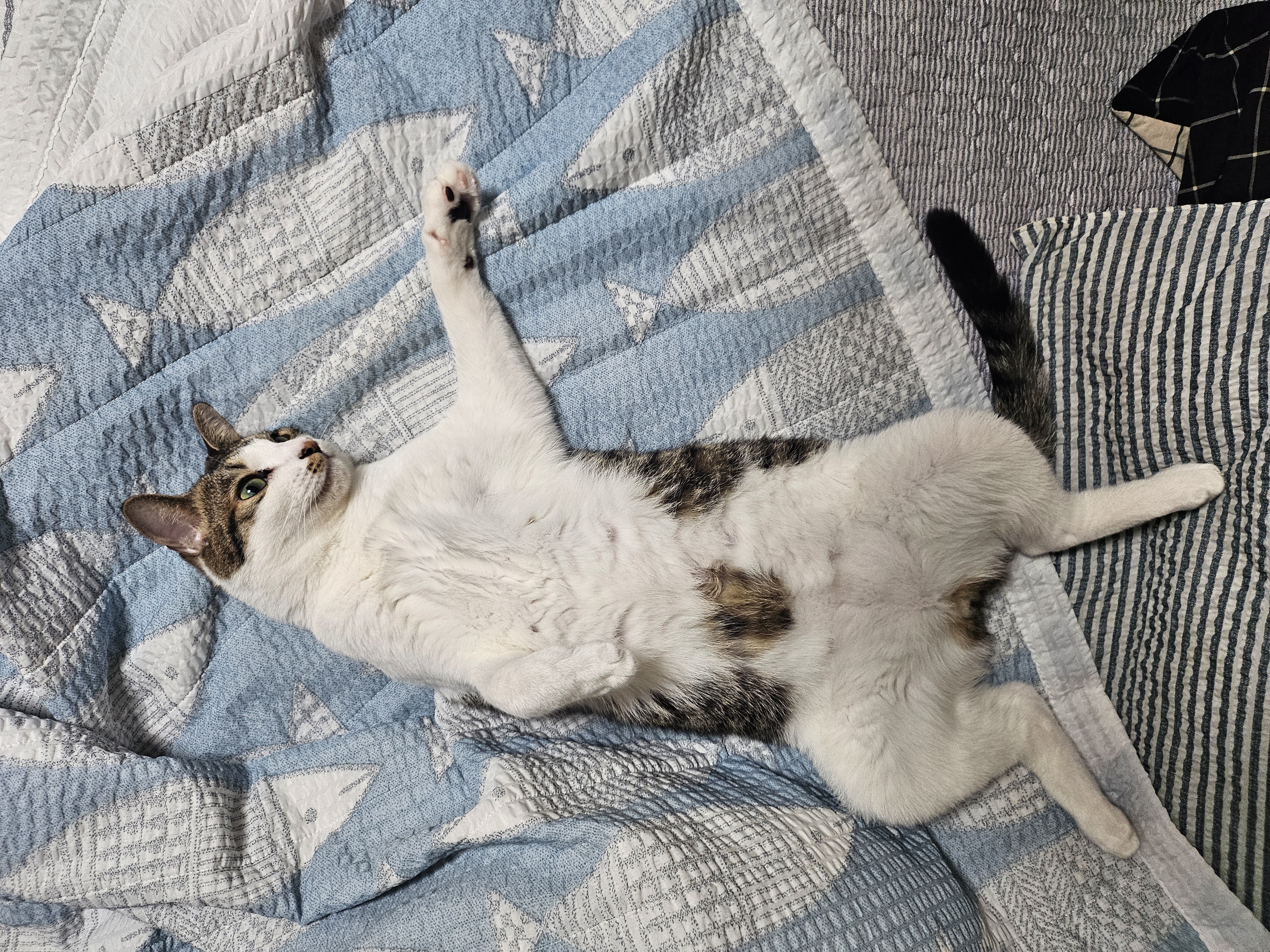 탄이와 함께 2025년으로