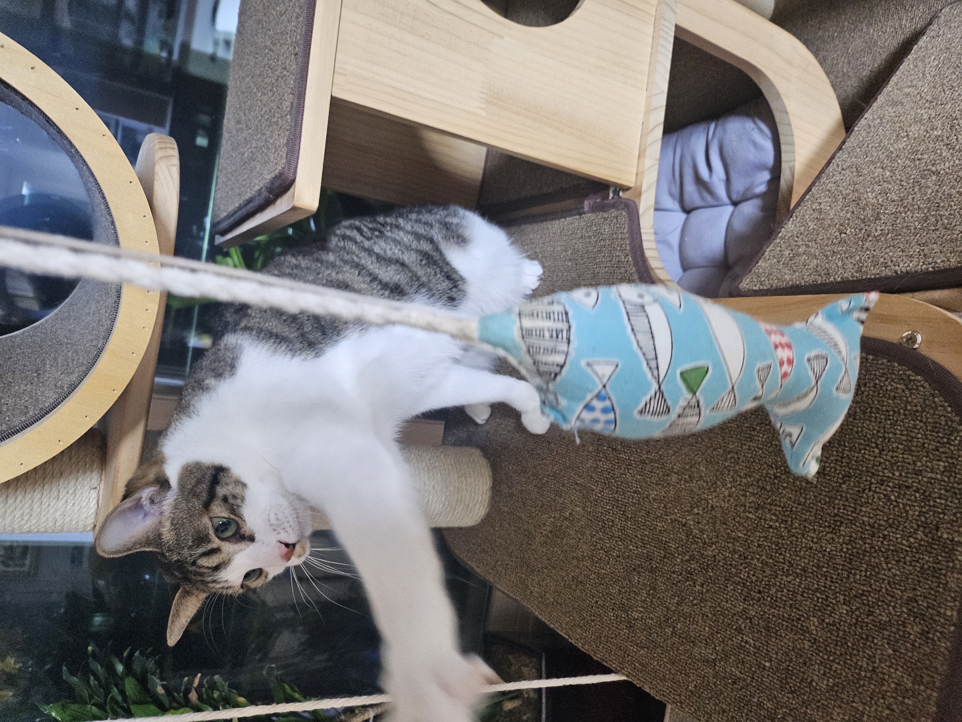 탄이와 함께 2025년으로