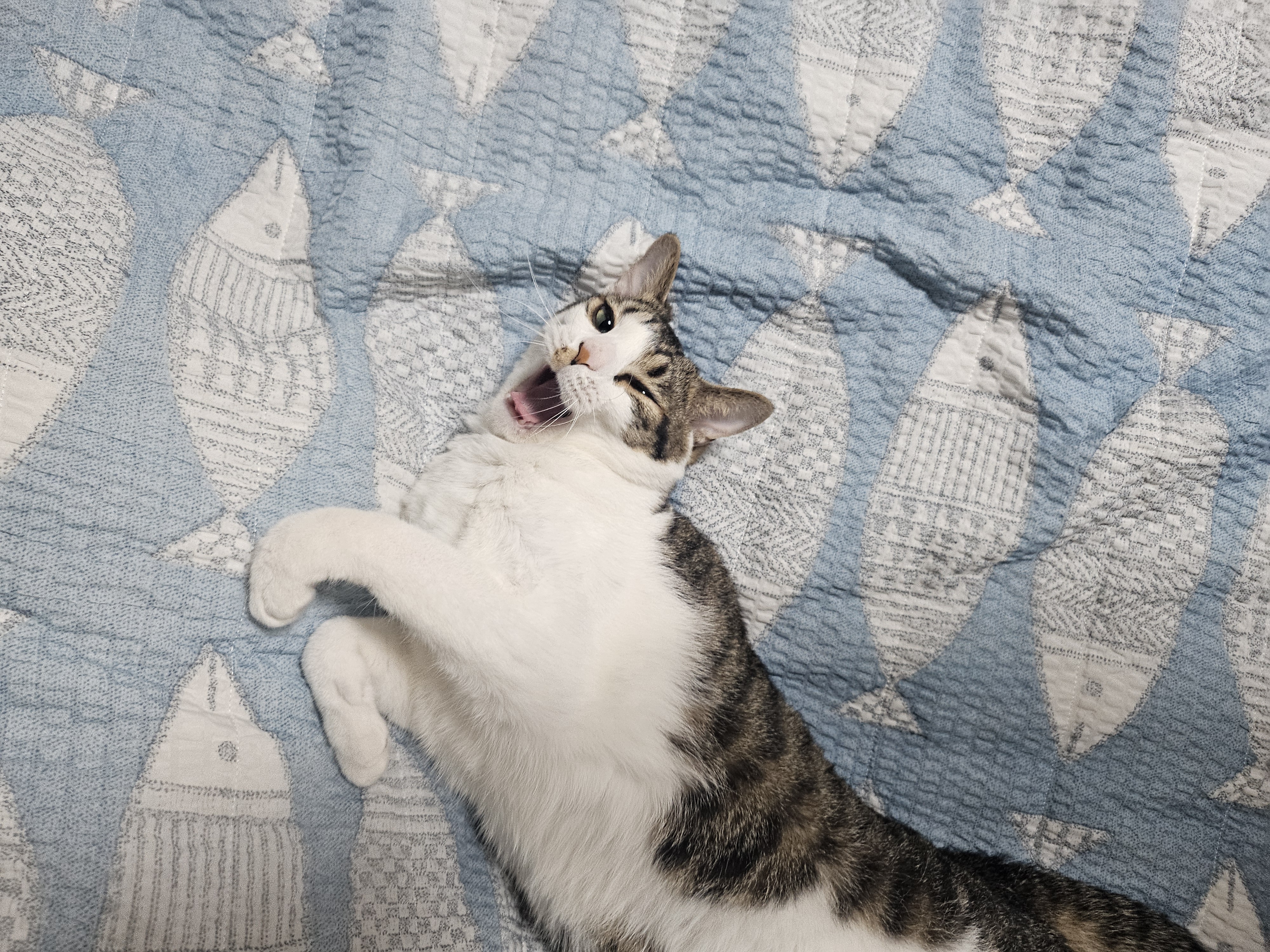 탄이와 함께 2025년으로