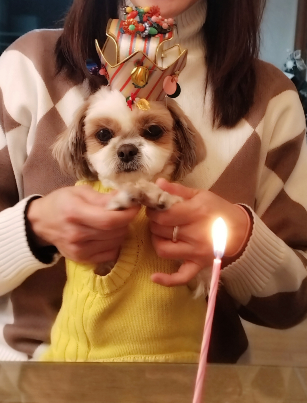 (에밀리_양구28) 튼튼이 일년차 후기