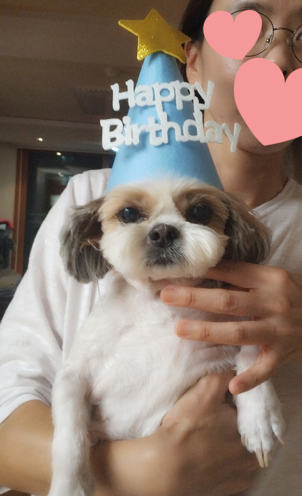 (에밀리_양구28) 튼튼이 일년차 후기