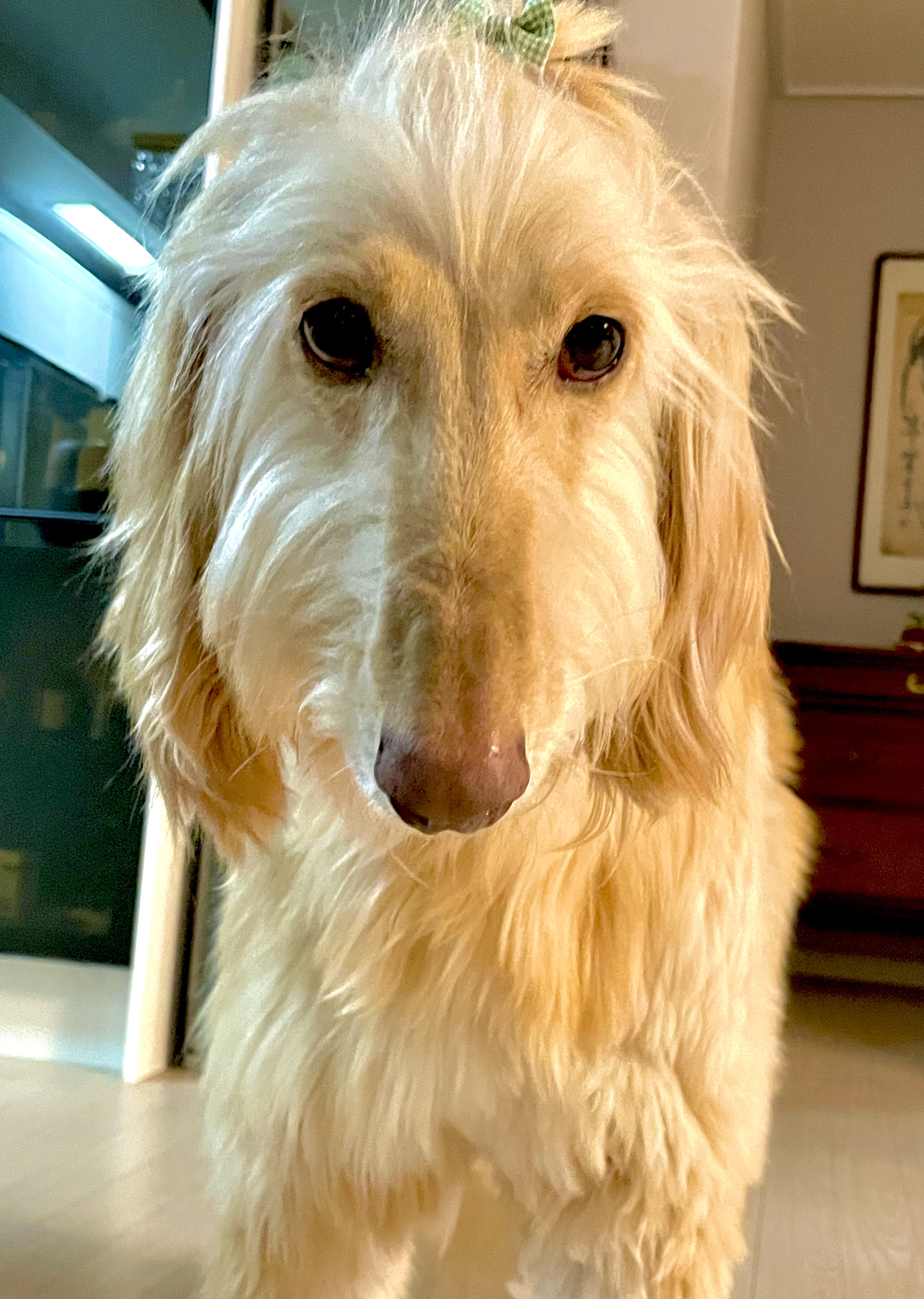 라나 한 달 차 이야기