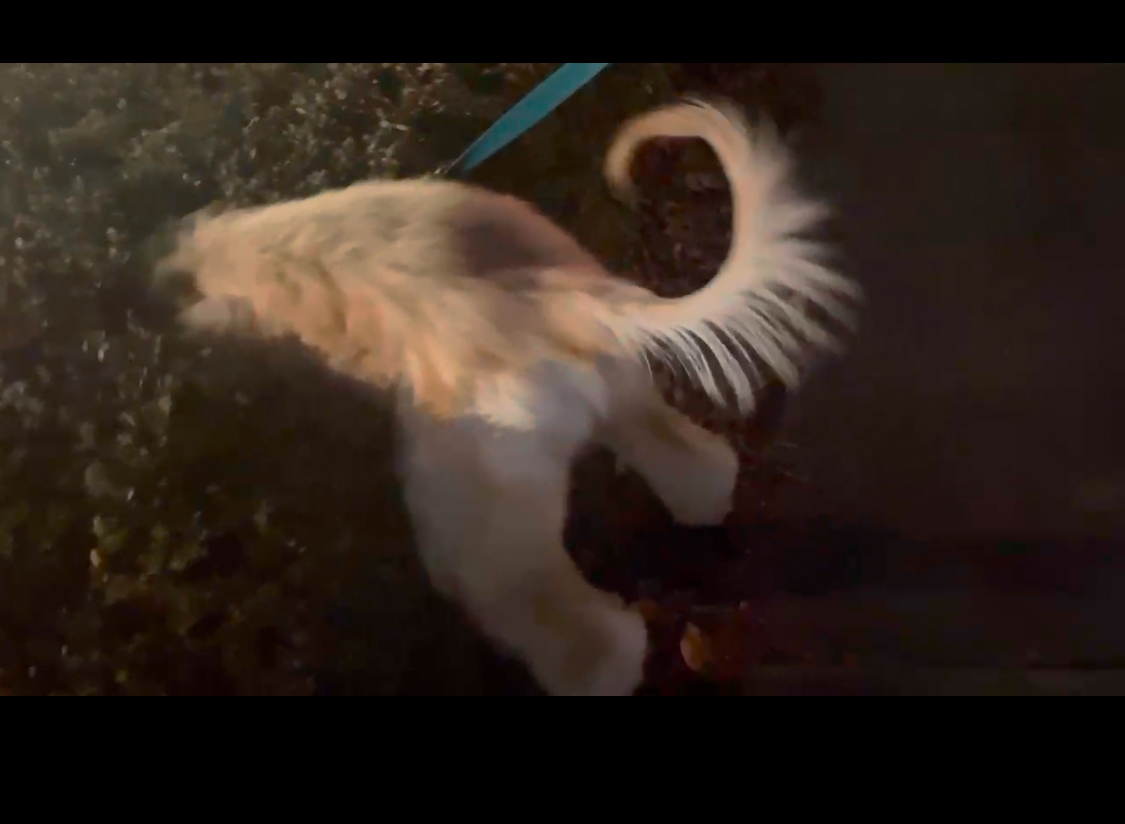 라나 한 달 차 이야기