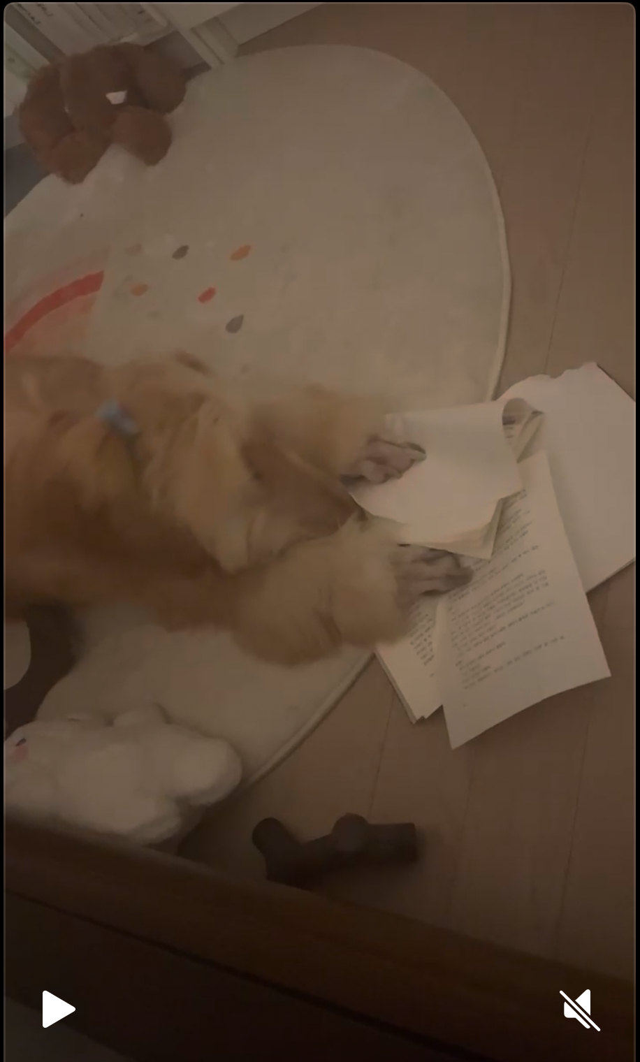 라나 한 달 차 이야기