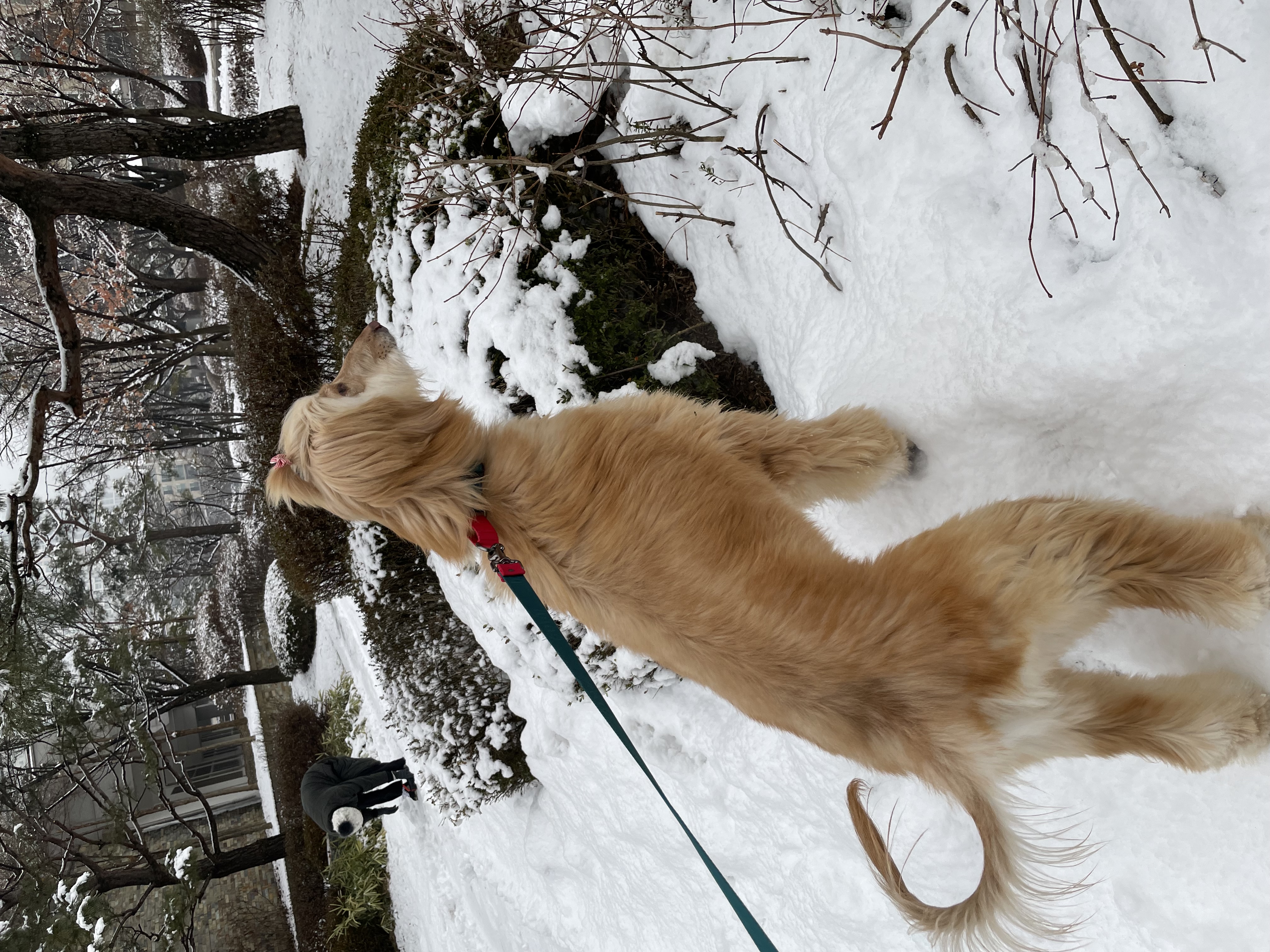 라나 한 달 차 이야기