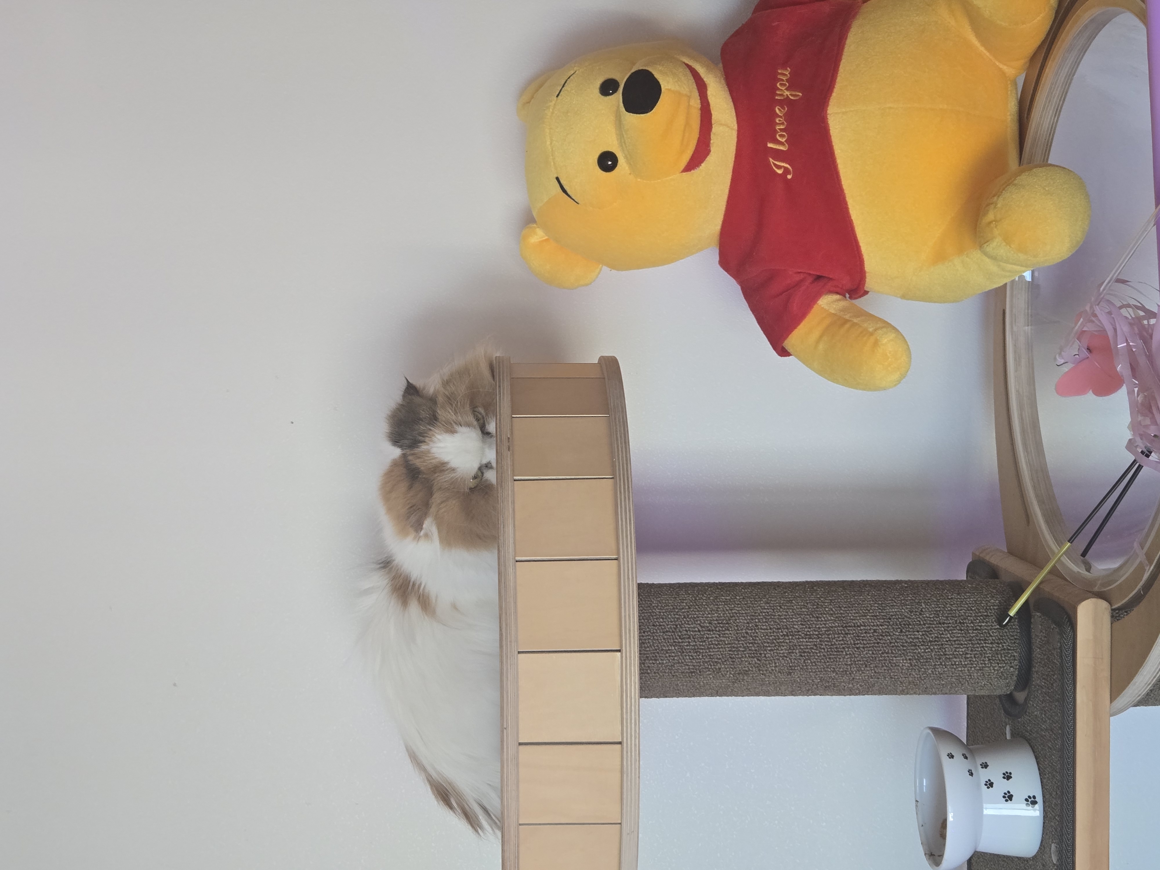 알코(리시아)의 한달ㅜㅜ