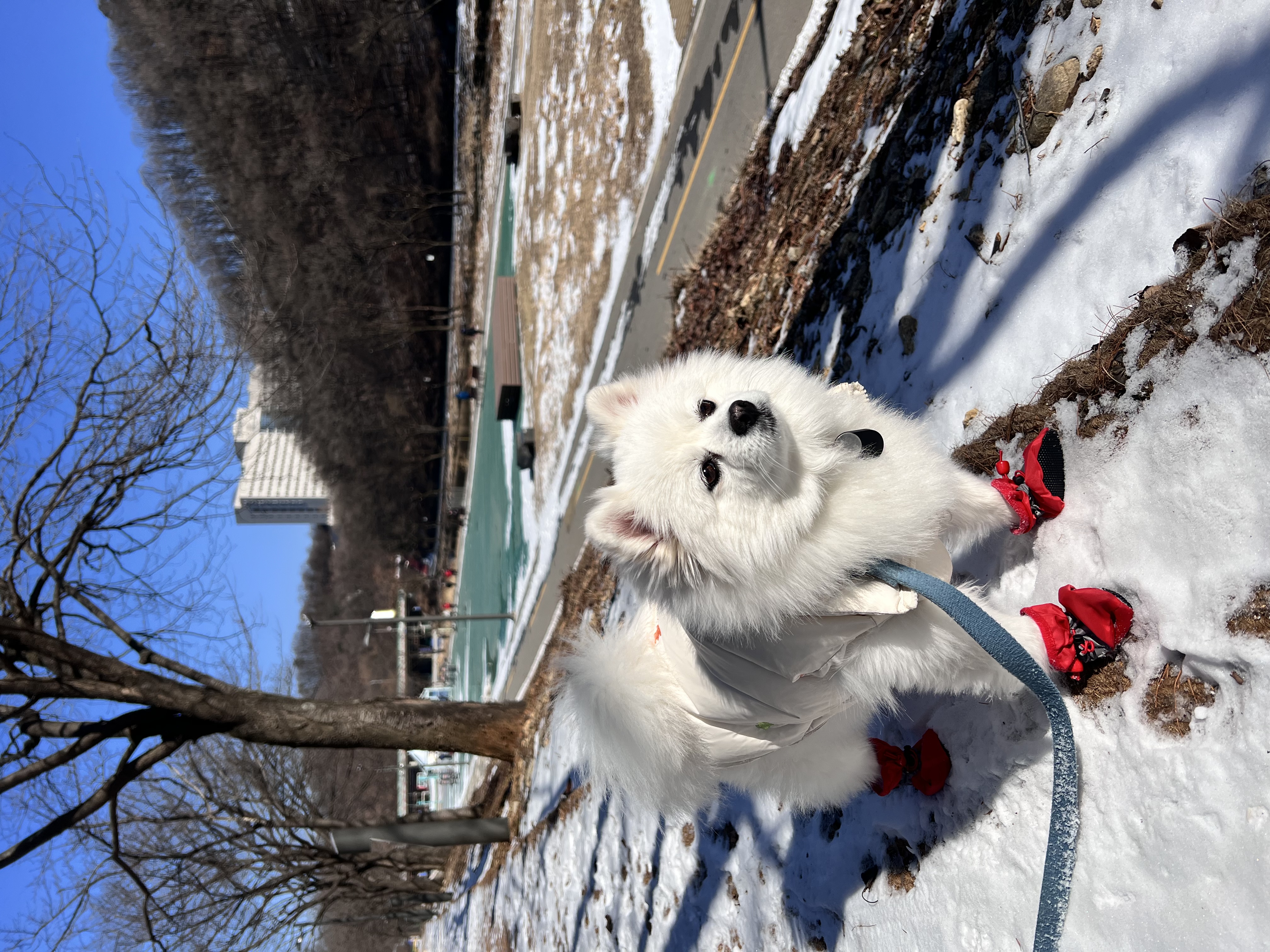 오쥬 임시보호 9개월차입니다!
