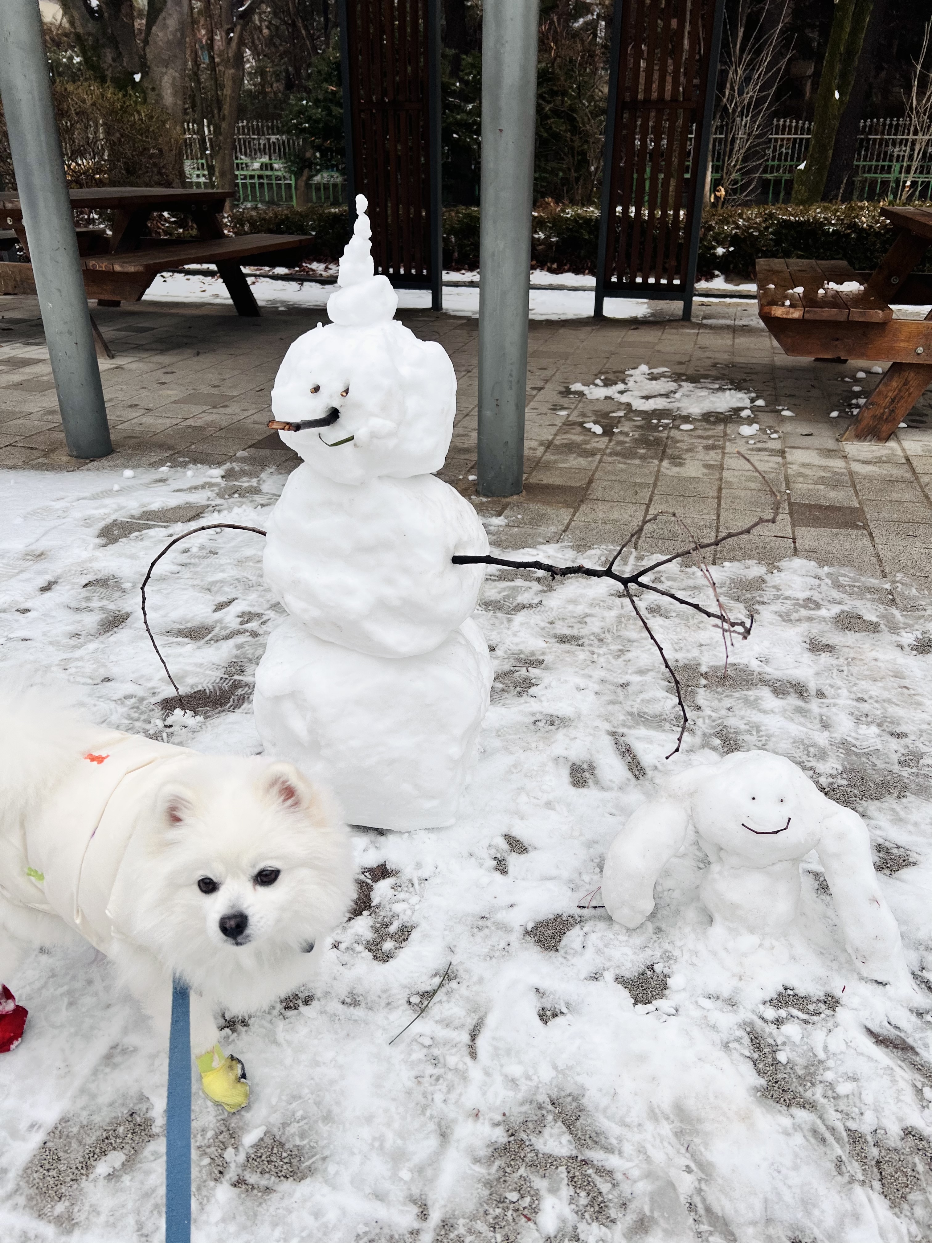 오쥬 임시보호 9개월차입니다!