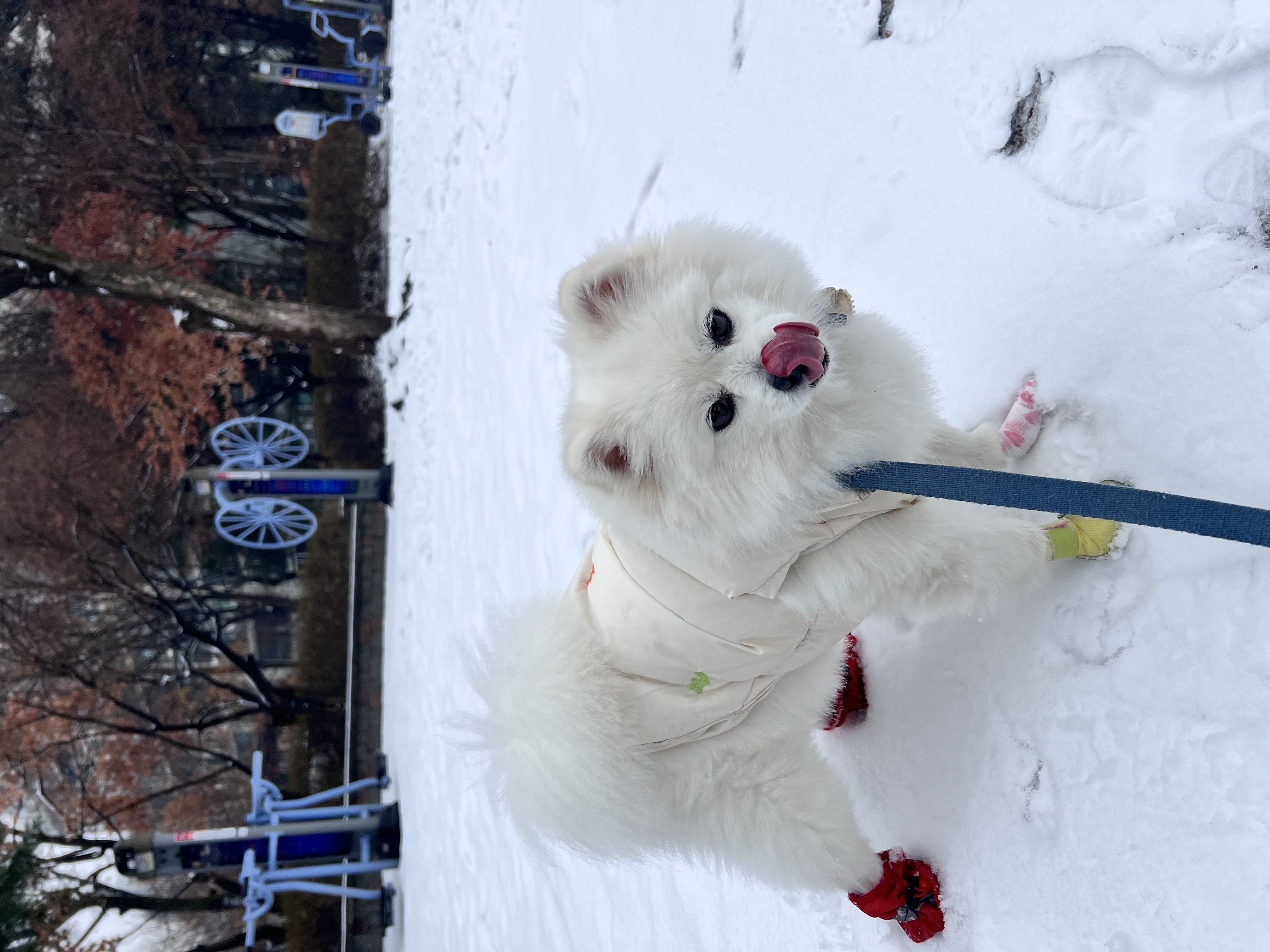 오쥬 임시보호 9개월차입니다!