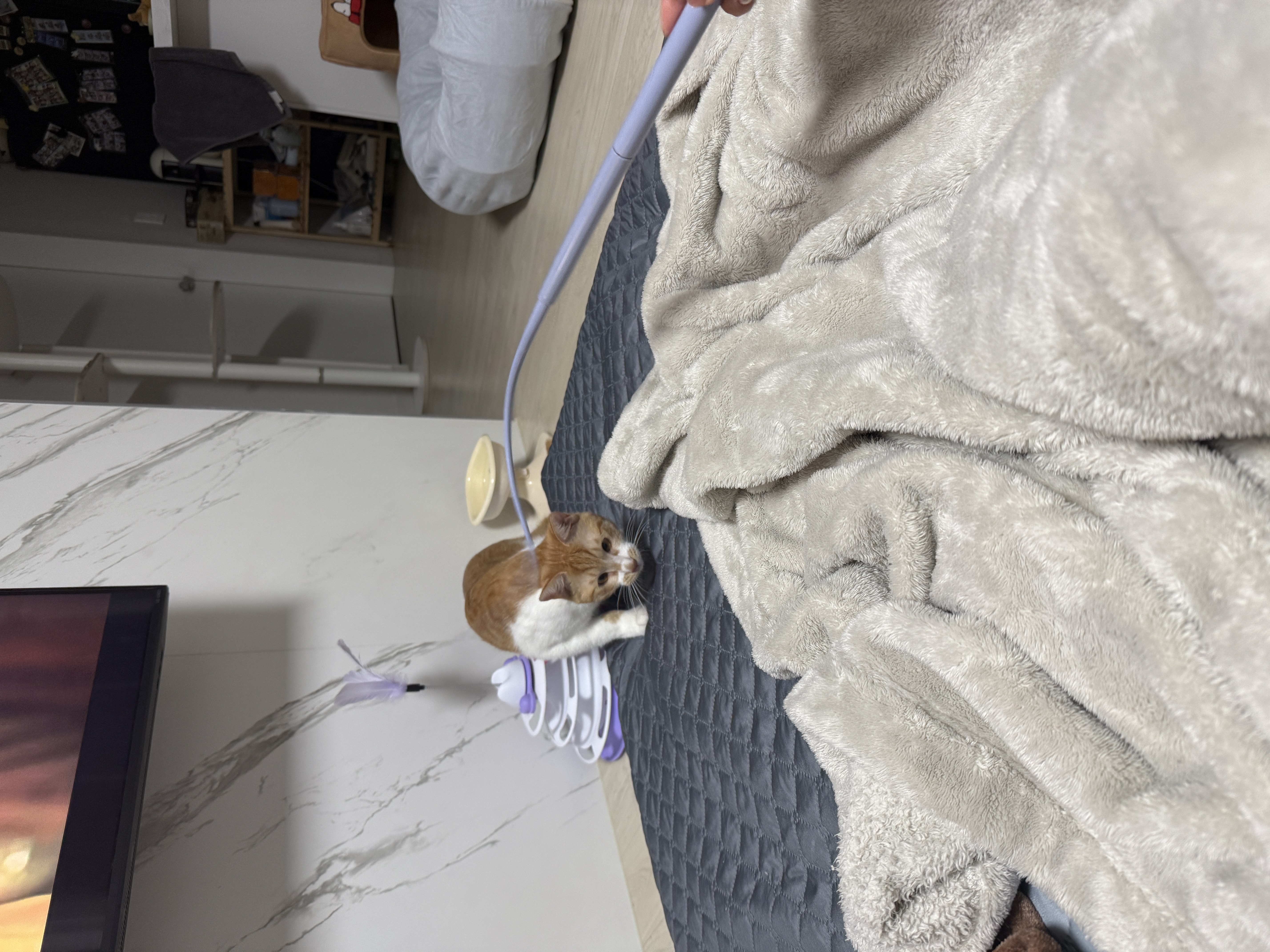 달콩이 잘 지내고 있습니다 😻