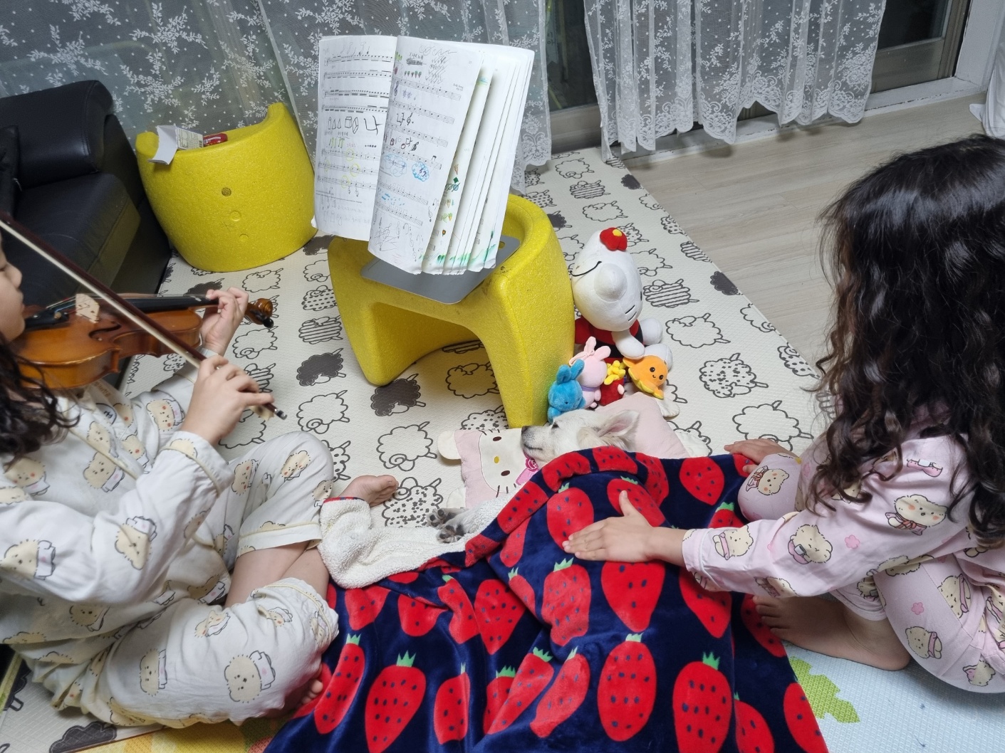 럭키(舊 아유) 임시보호 3개월(입양 전환) 이야기