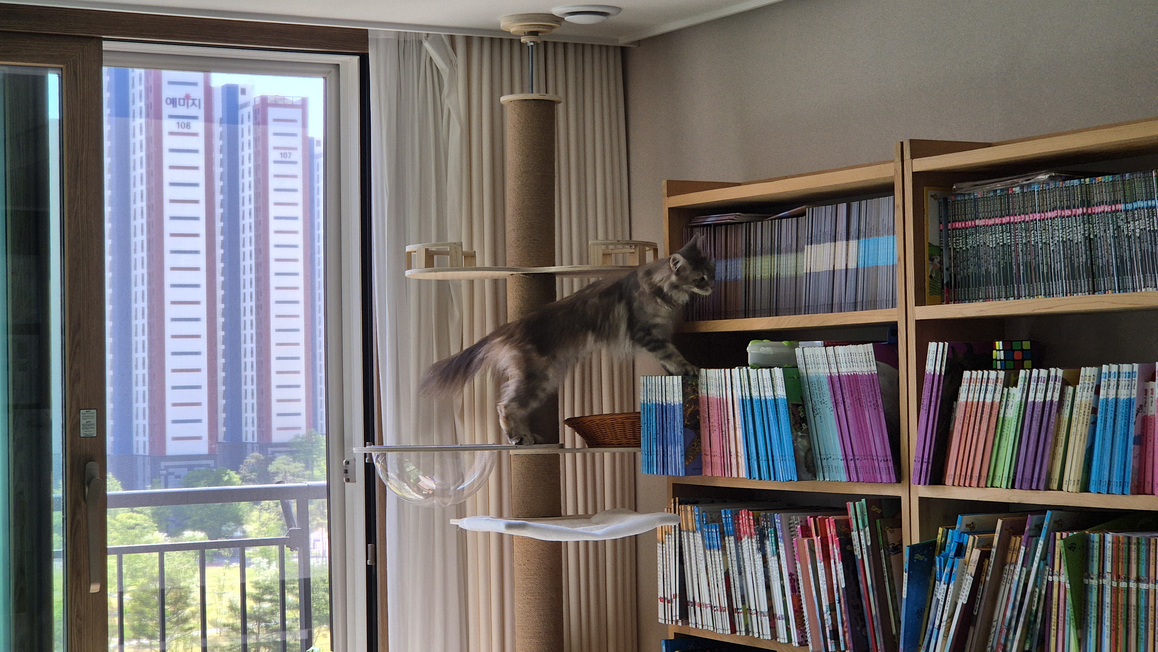 김미미(일쿤이)의 일주일