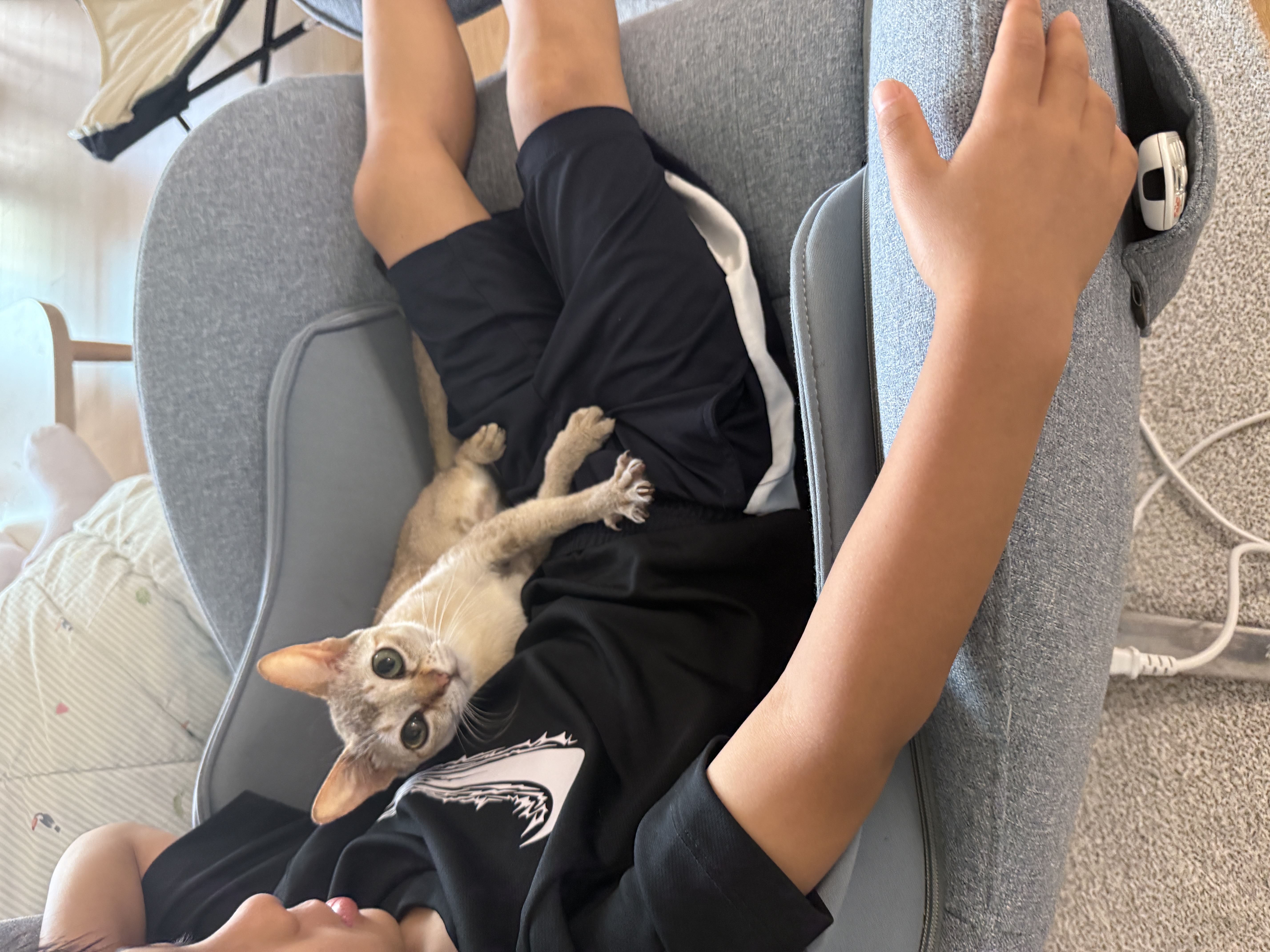 또봉이(이요) 일주일차 적응기