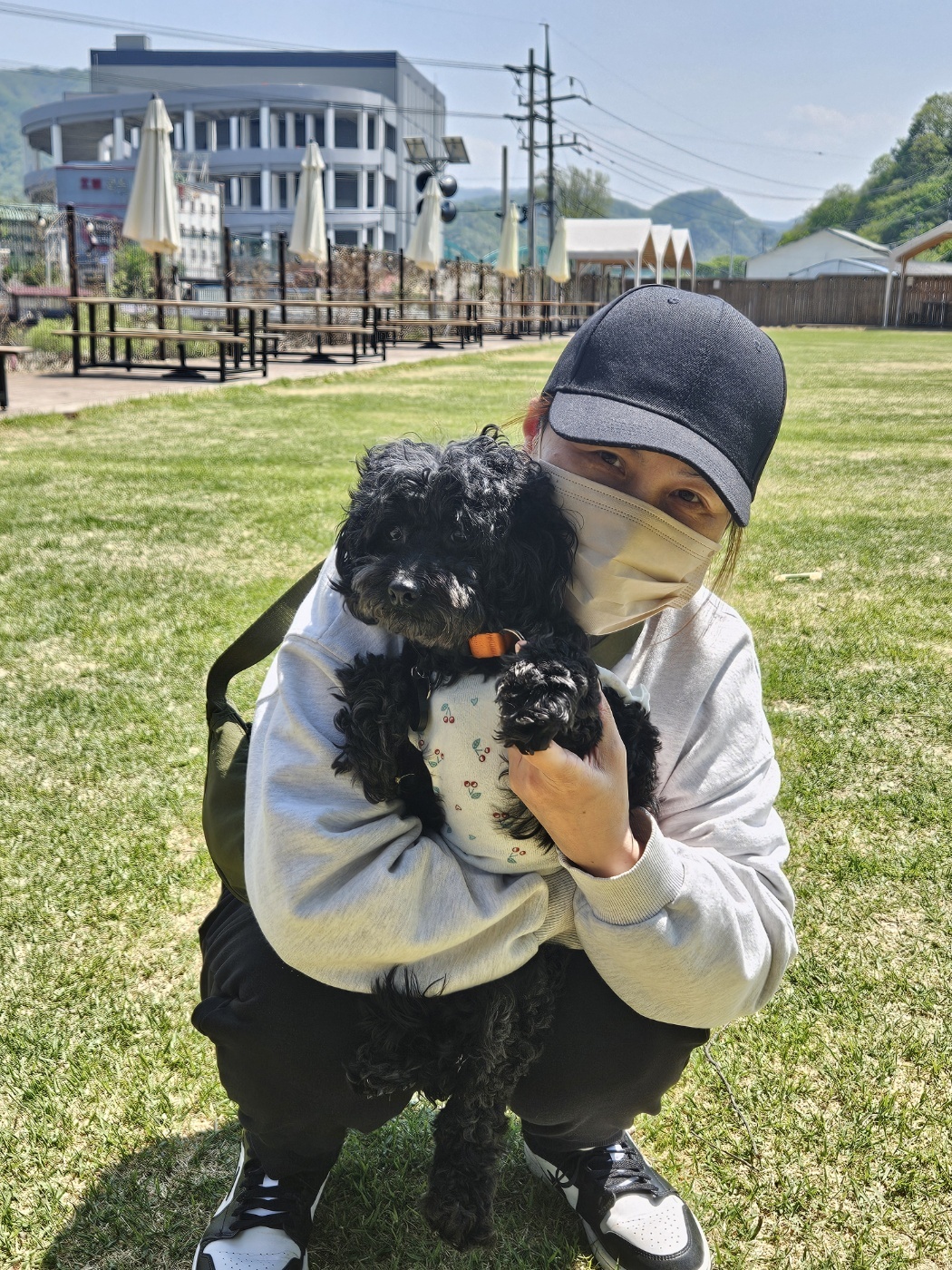 깜동이(찐블이) 3개월 임보후 입양 10일 후기