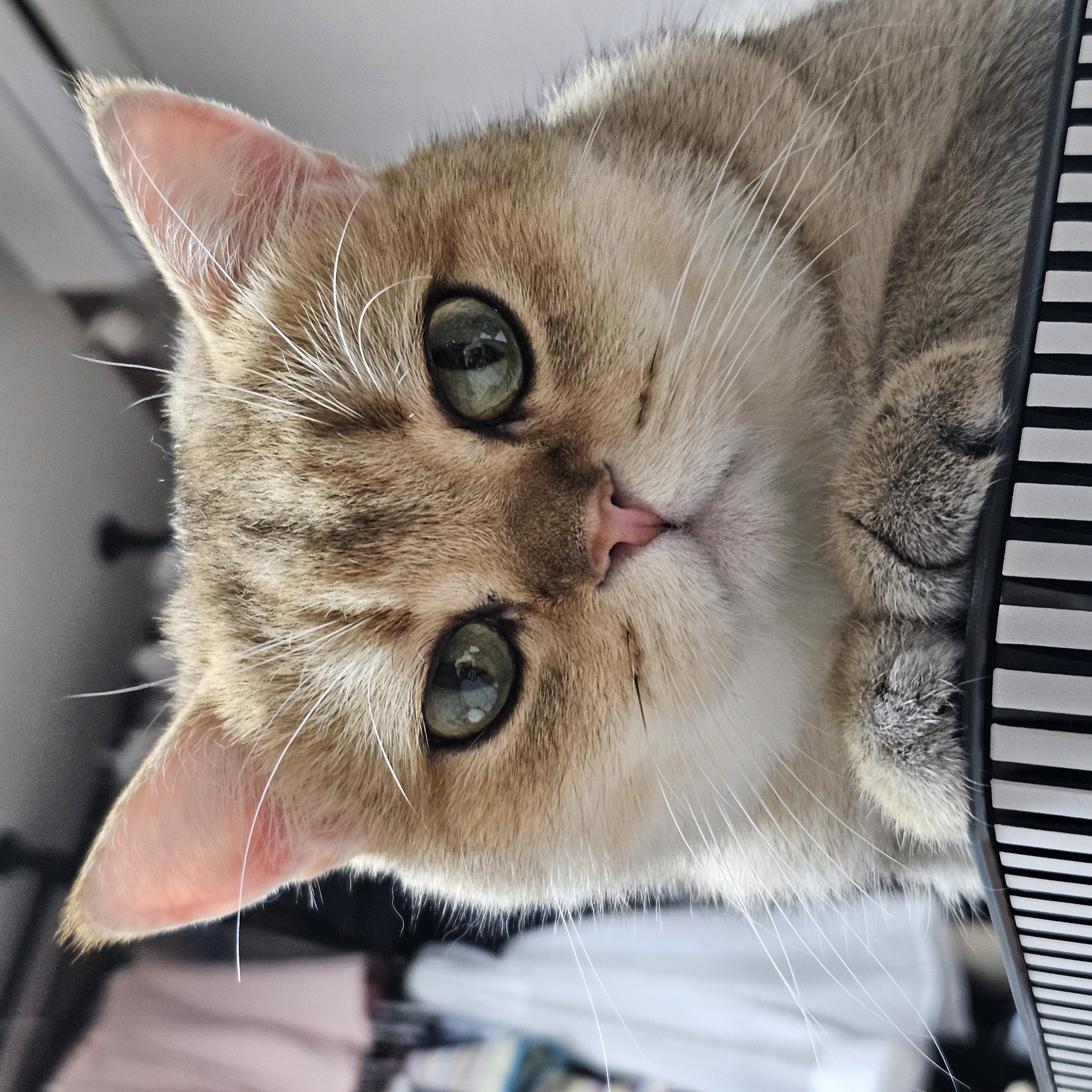 론다와 함꺼한 한달♡