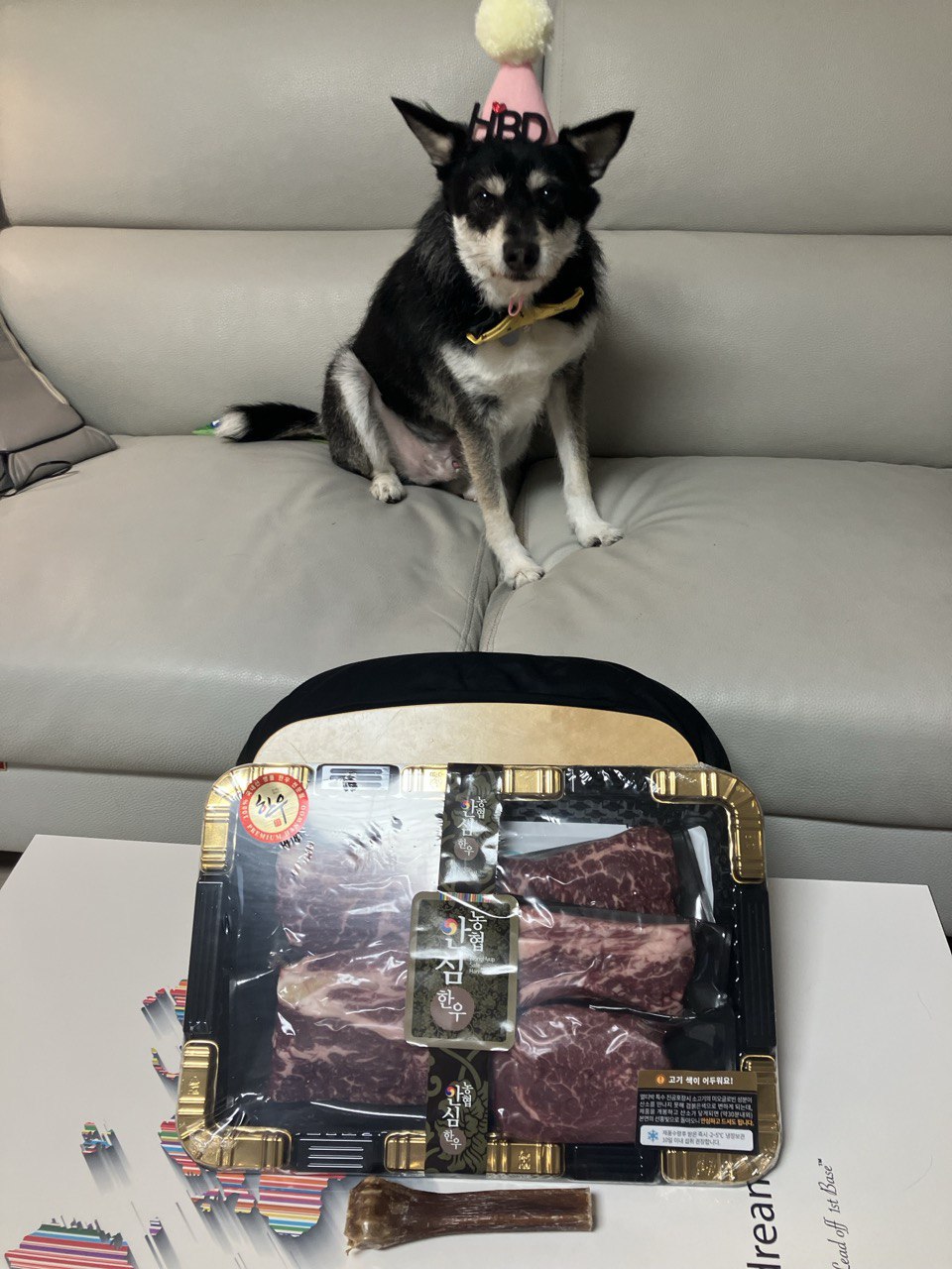 두송이(로하)와 함께  3년!