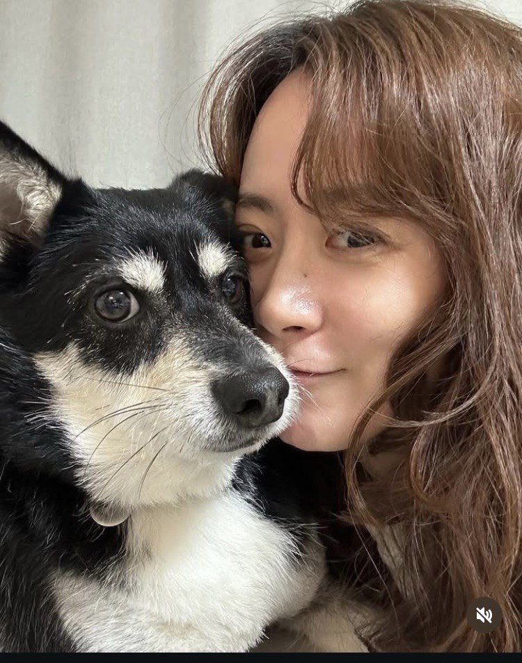 두송이(로하)와 함께  3년!