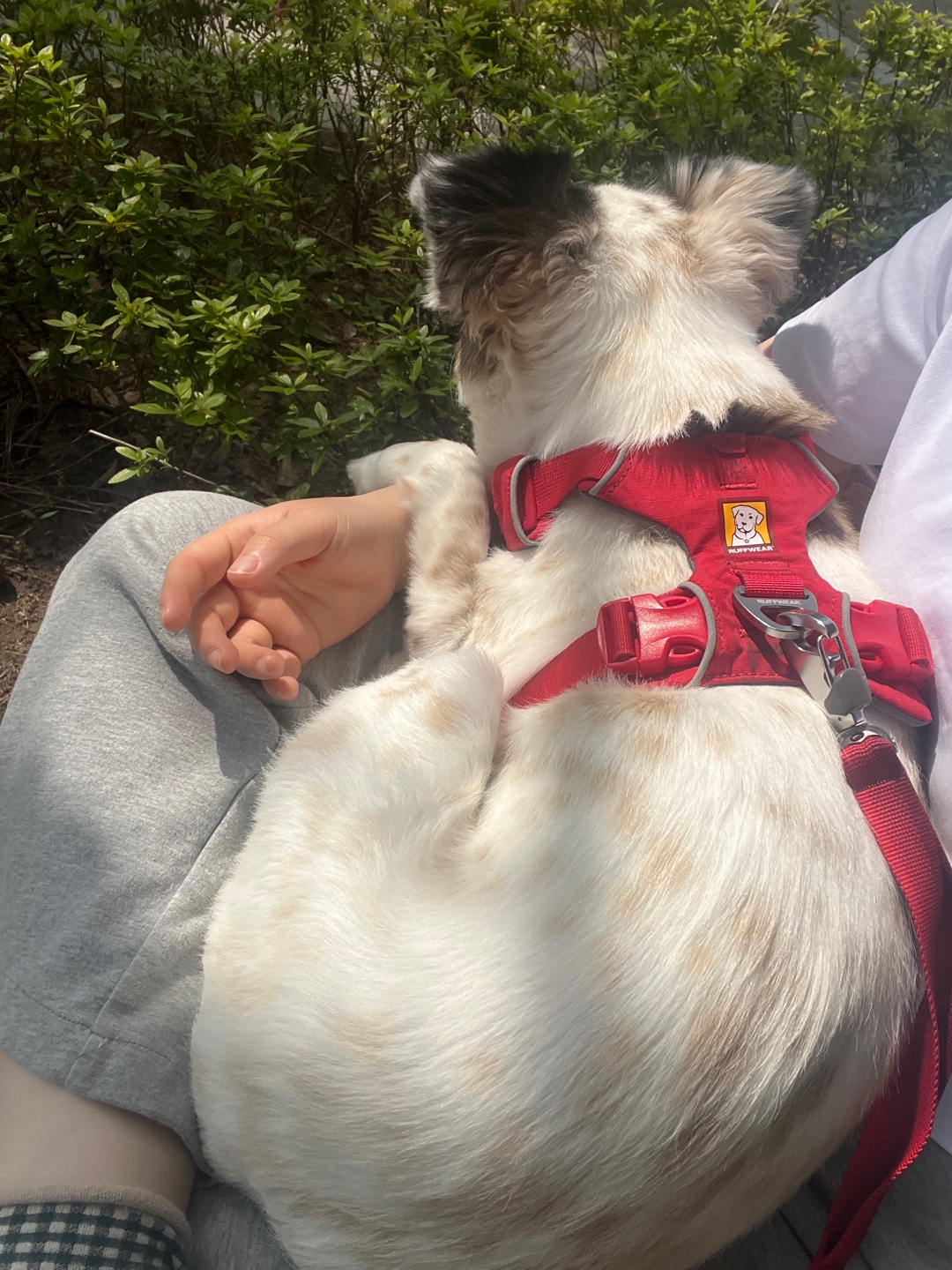 레오(오래) 잘 지내고 있어요!