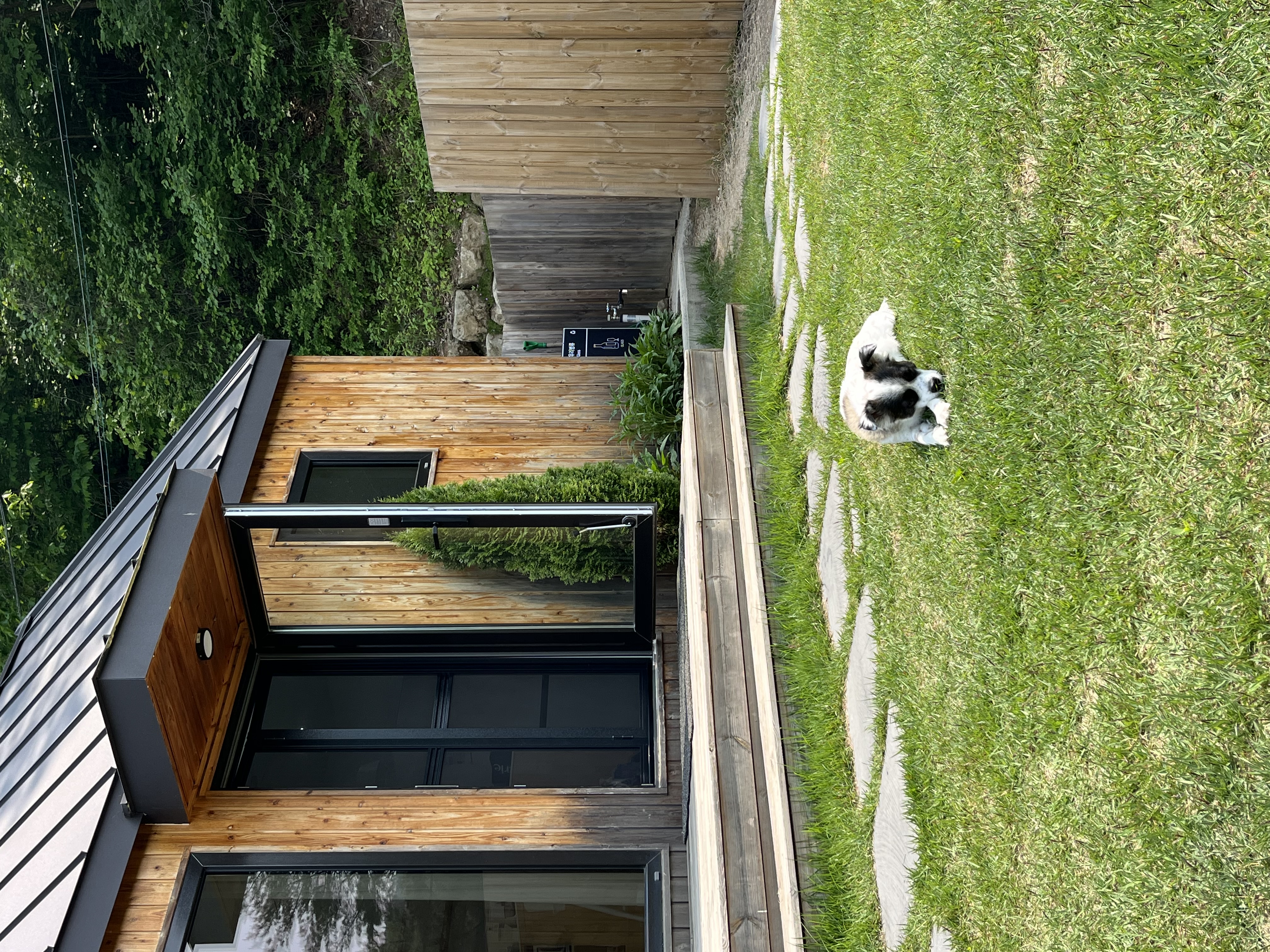 레오(오래) 잘 지내고 있어요!