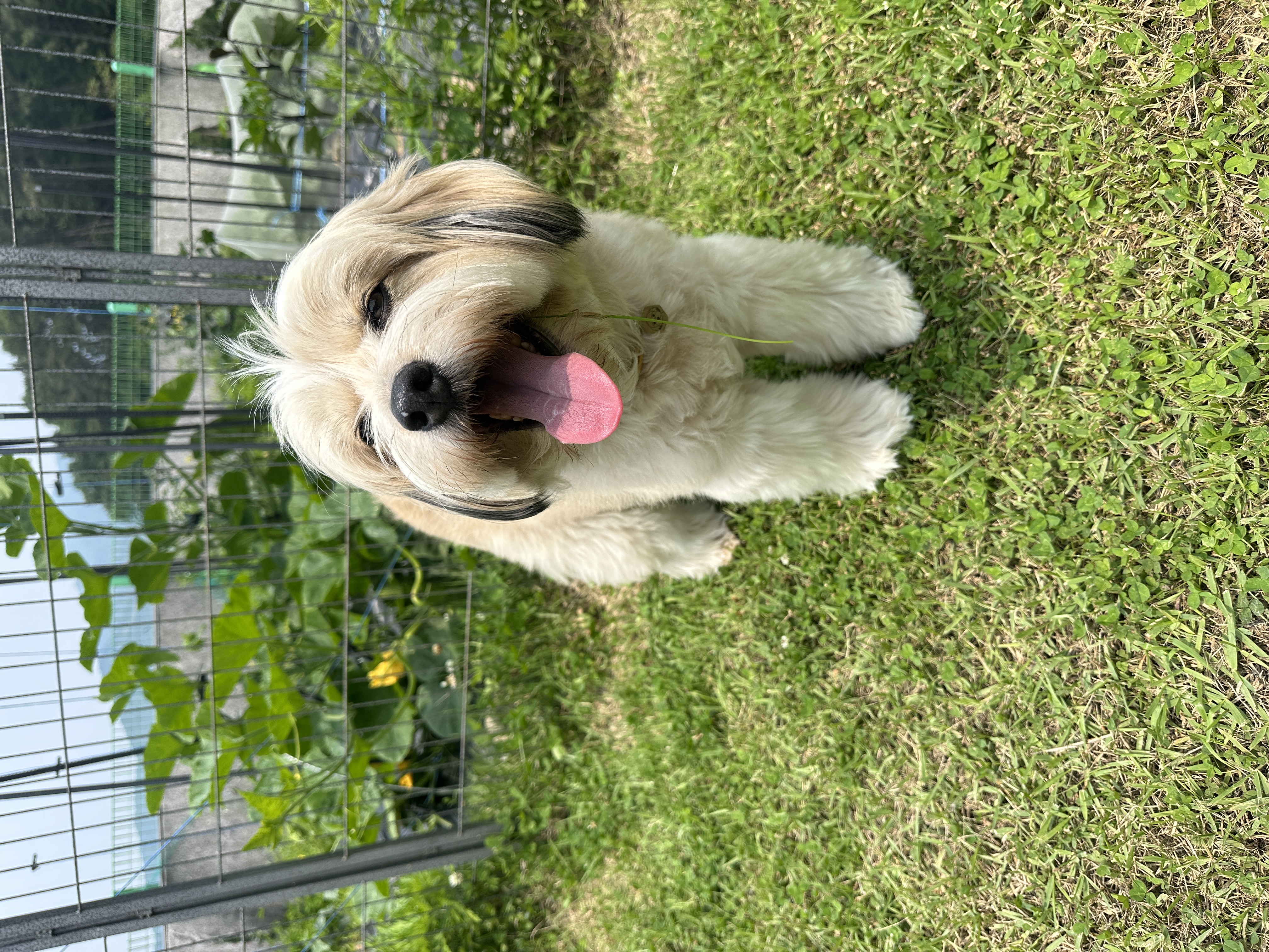 봉구의 10번째 생일 소식을 알려드립니다