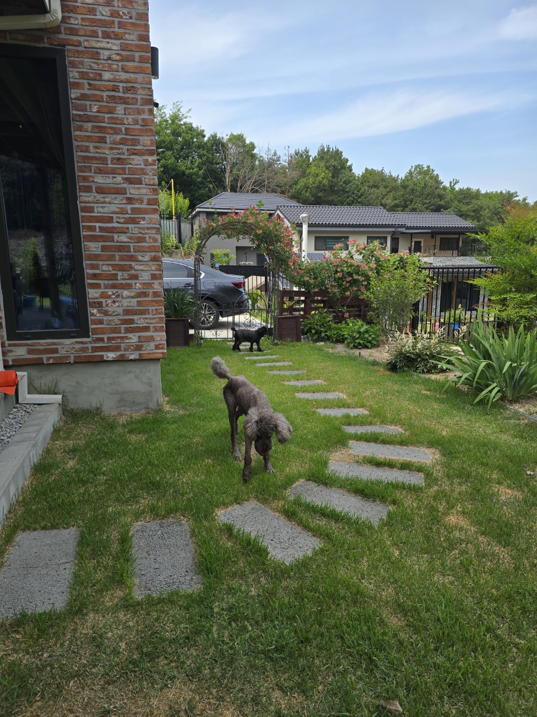 다시 건강해진 테라 근황 올립니다 ~