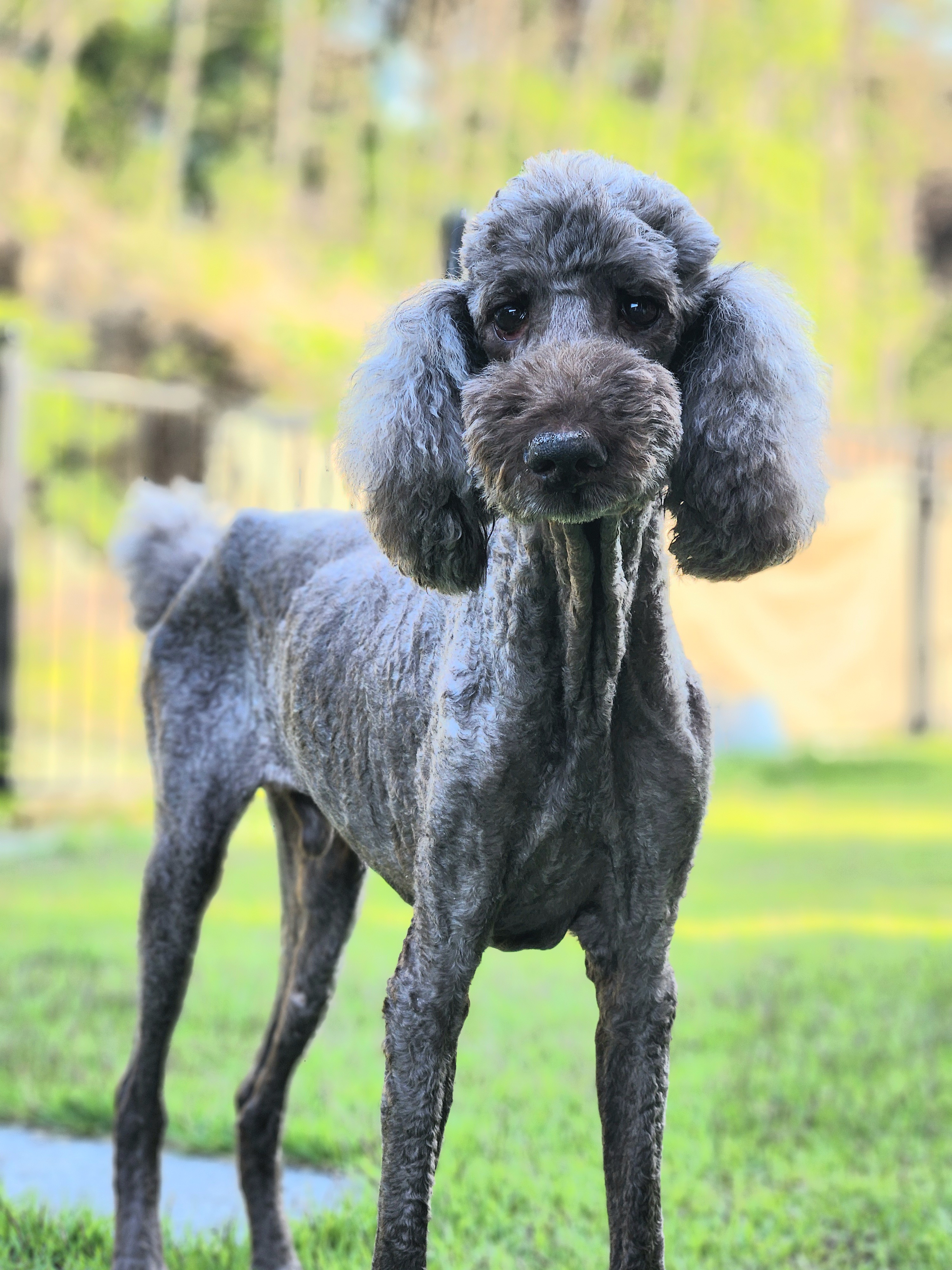 다시 건강해진 테라 근황 올립니다 ~