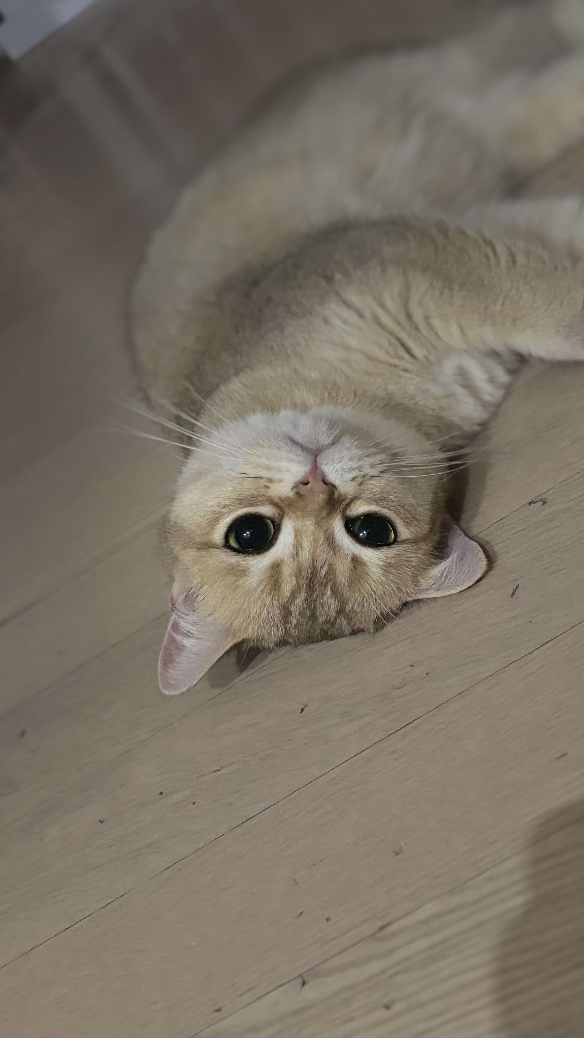 쩨리와 동거한지 일주일~~