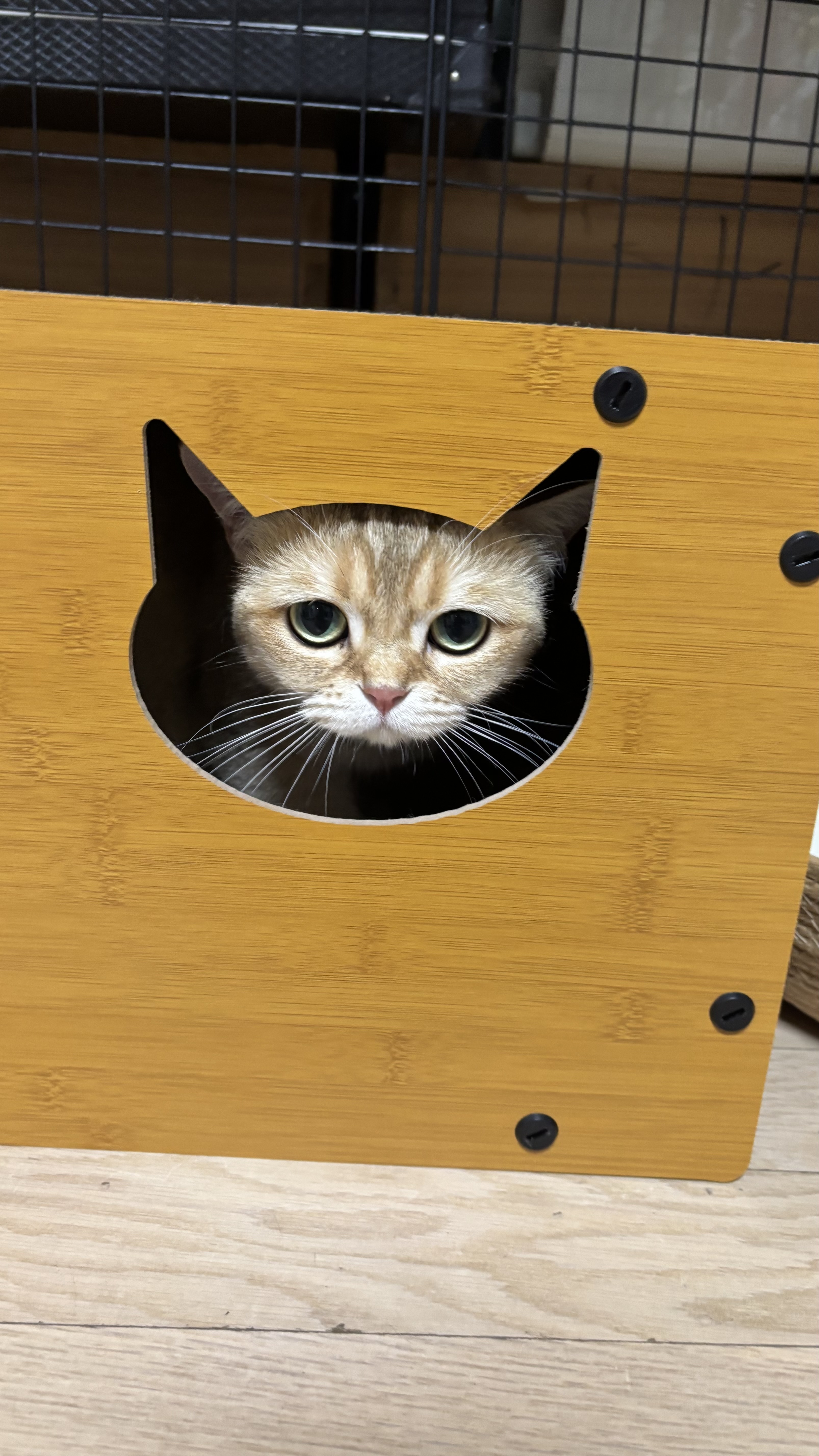 쩨리와 동거한지 일주일~~