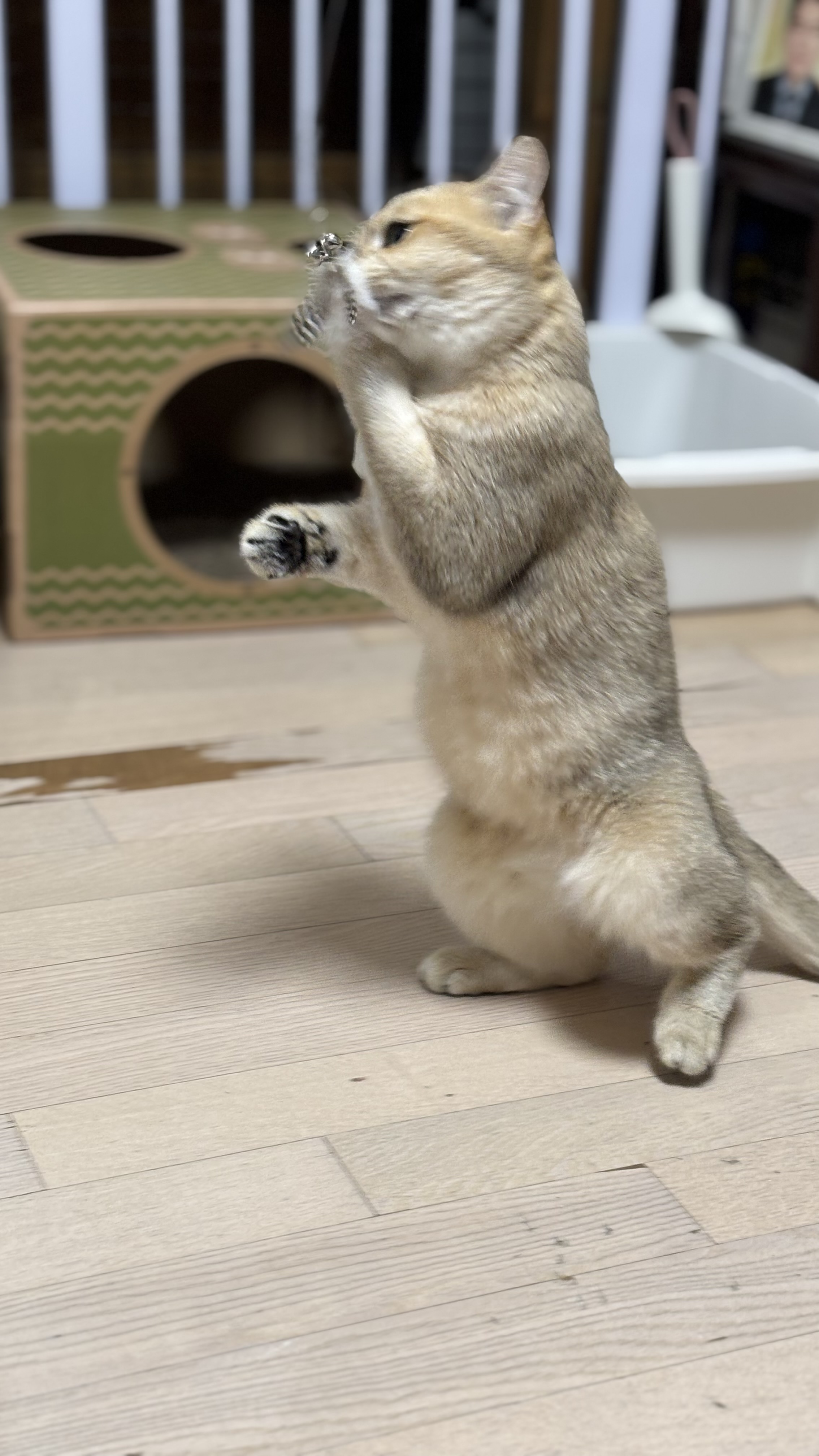 쩨리와 동거한지 일주일~~