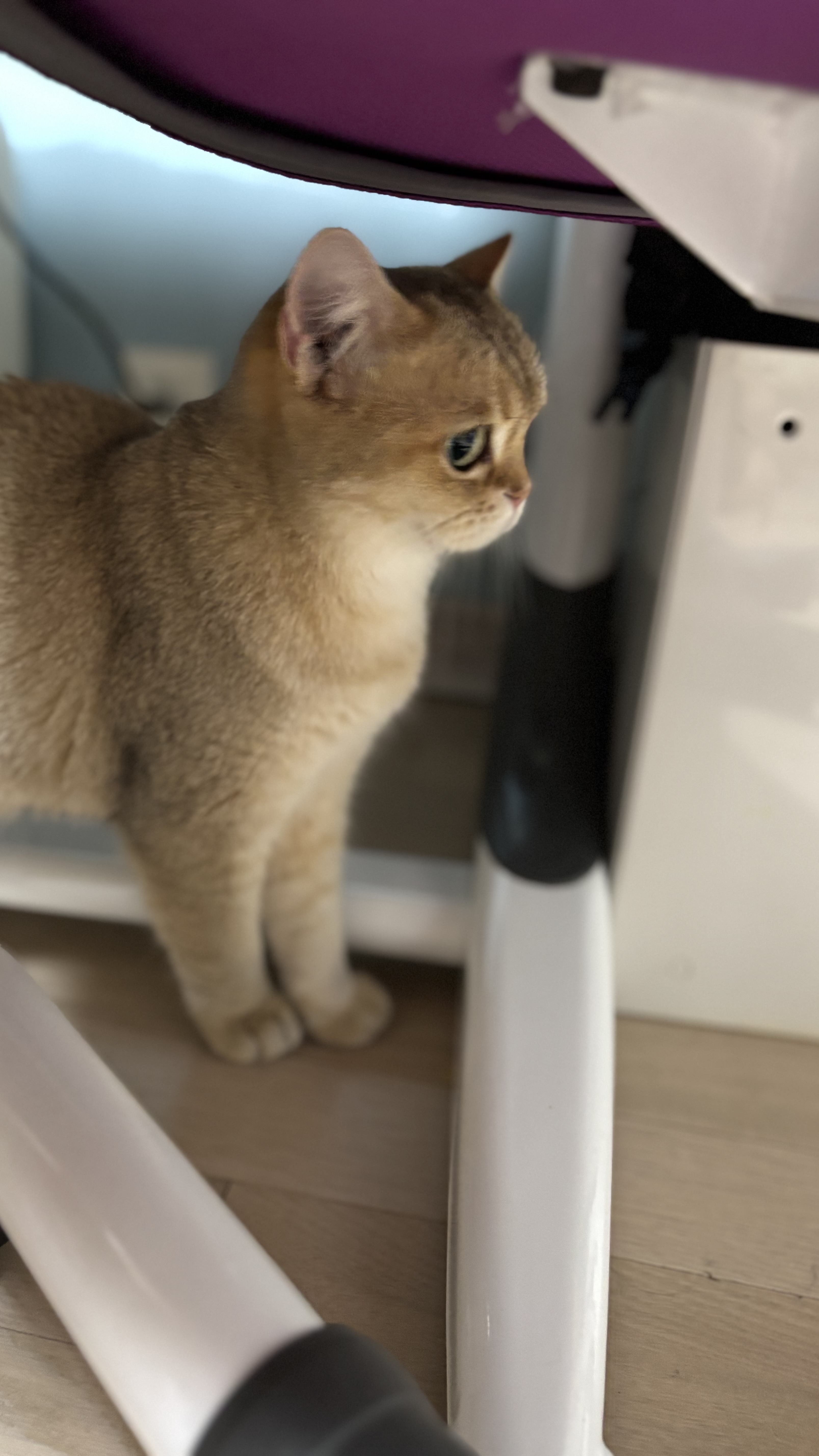 쩨리와 동거한지 일주일~~