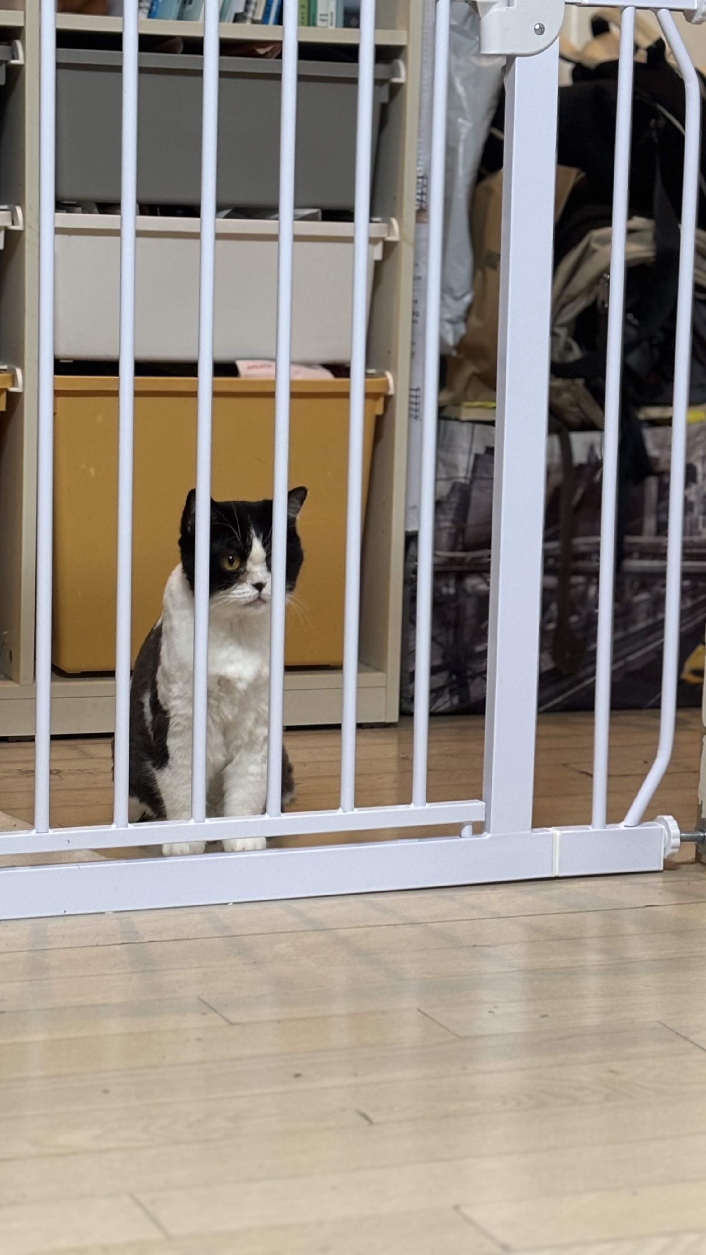 쩨리와 동거한지 일주일~~