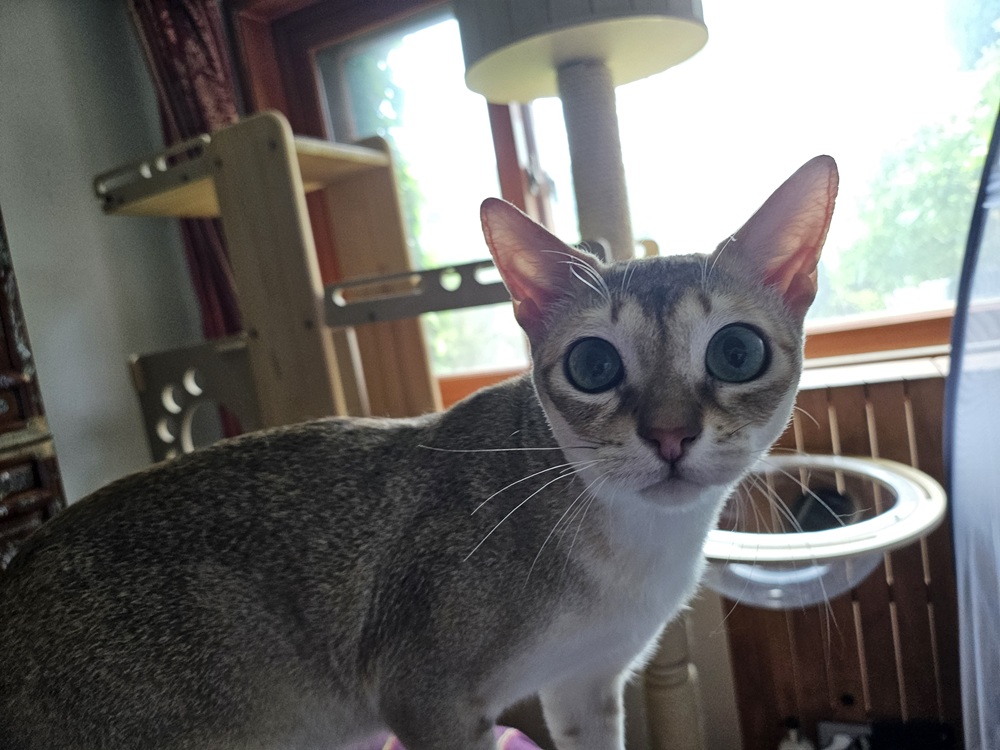 철이(나무) 입양한지 일주일 됐습니다~