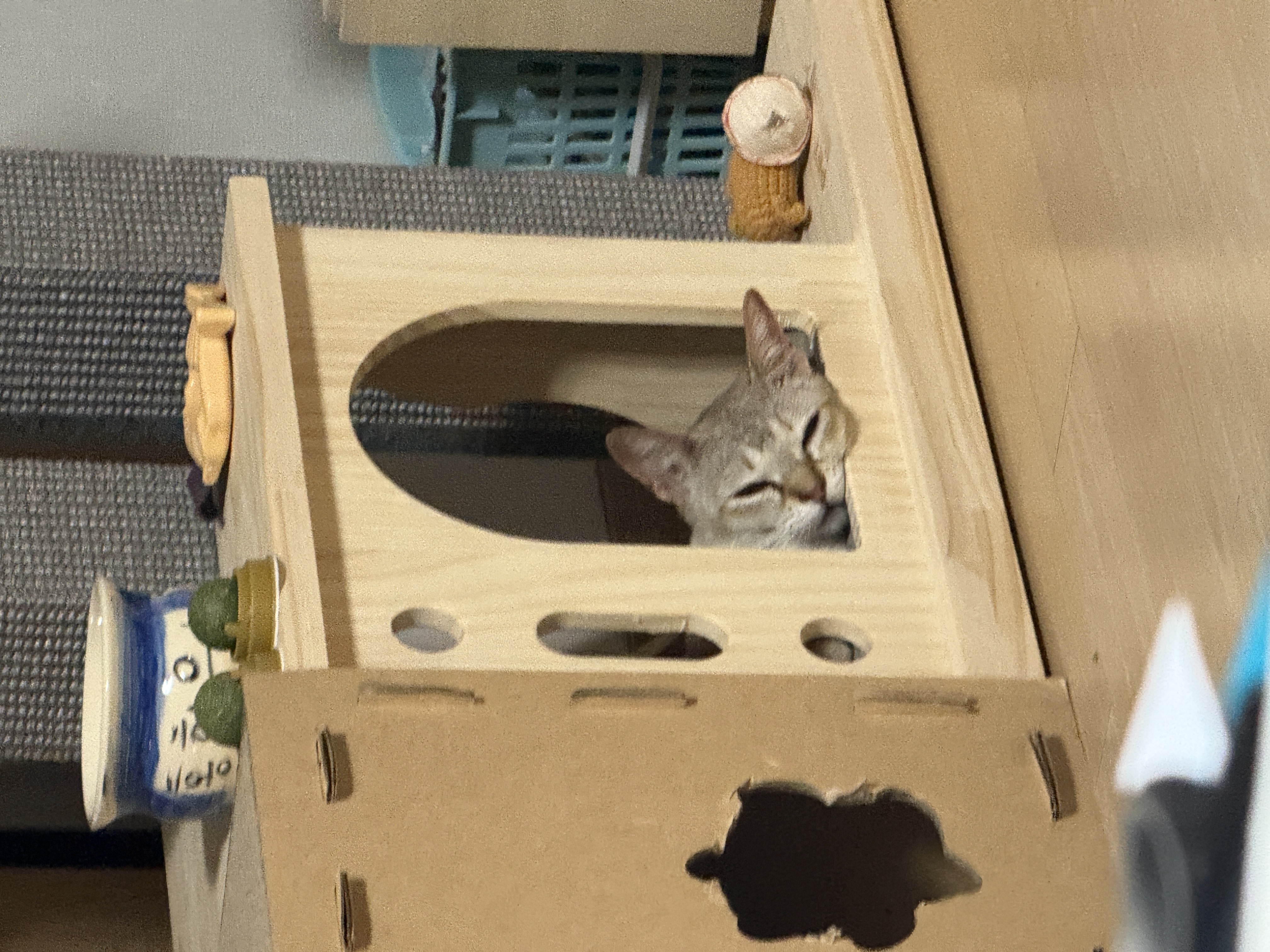 이요(또봉) 한달 적응기