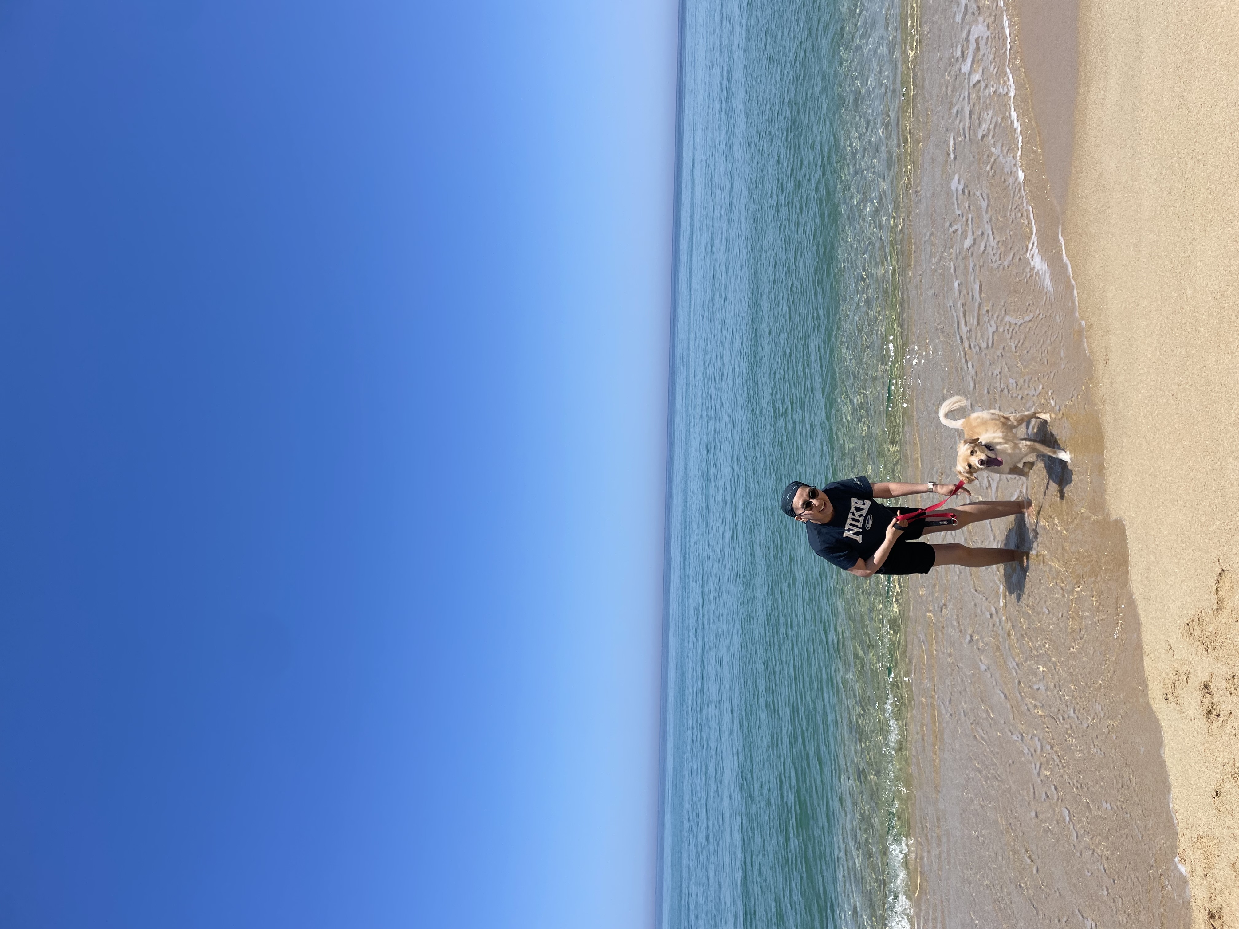 삼콩/루시 입양 3년차 잘 지내고 있어요