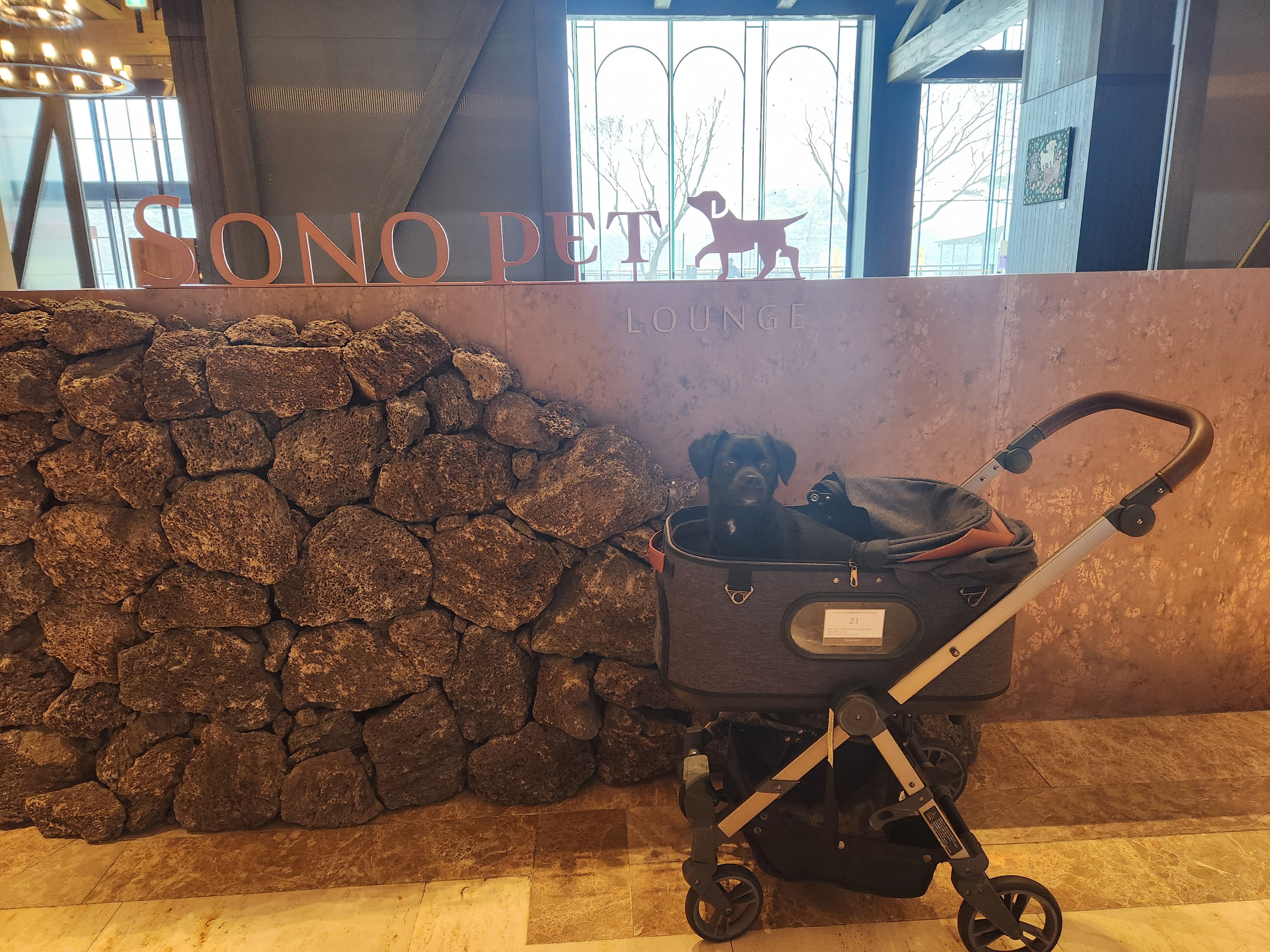 까미(반양이) 3살 됐어요~