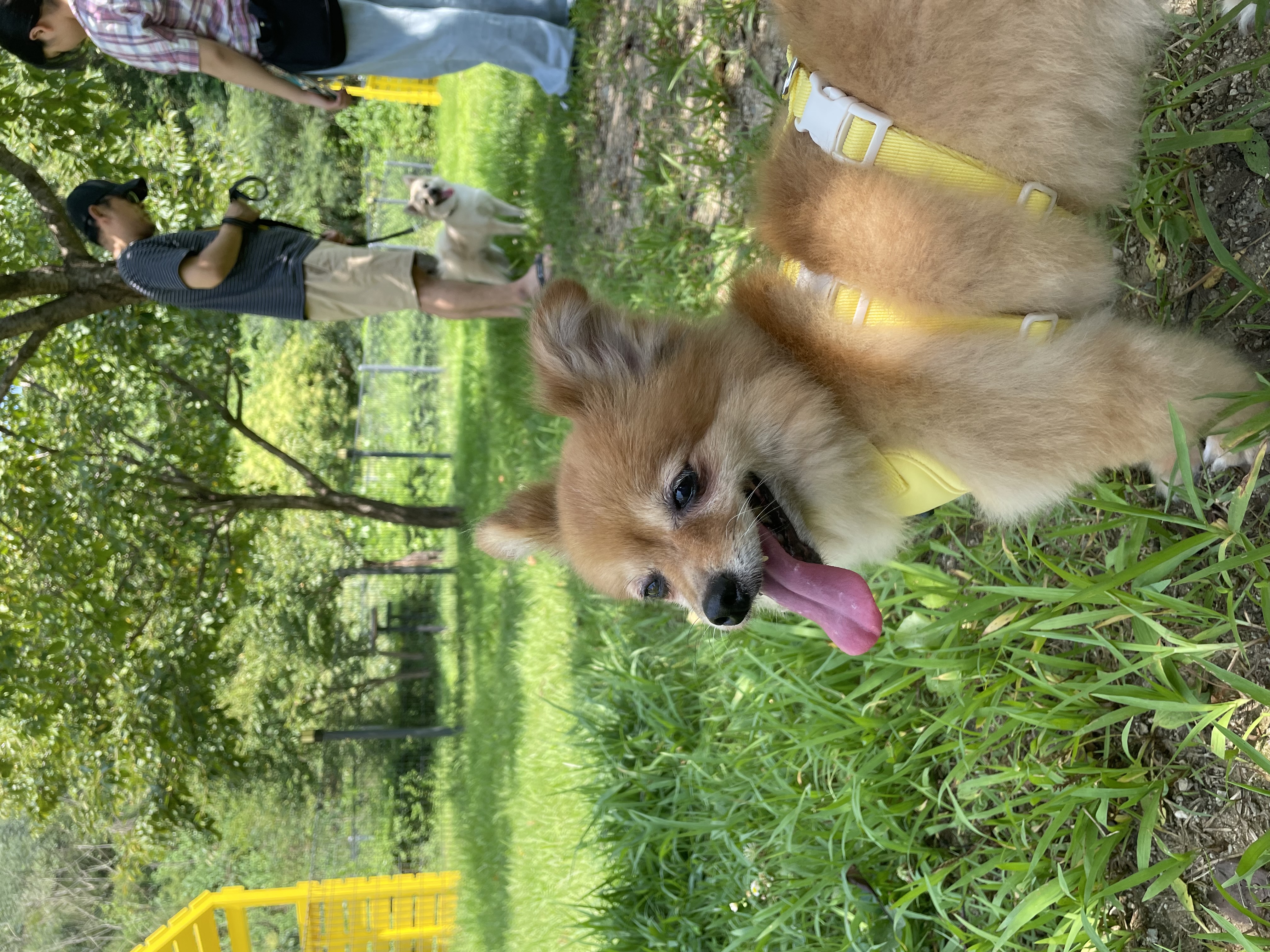 티거(곤지암2-워터)와 벌써 4년이네요.