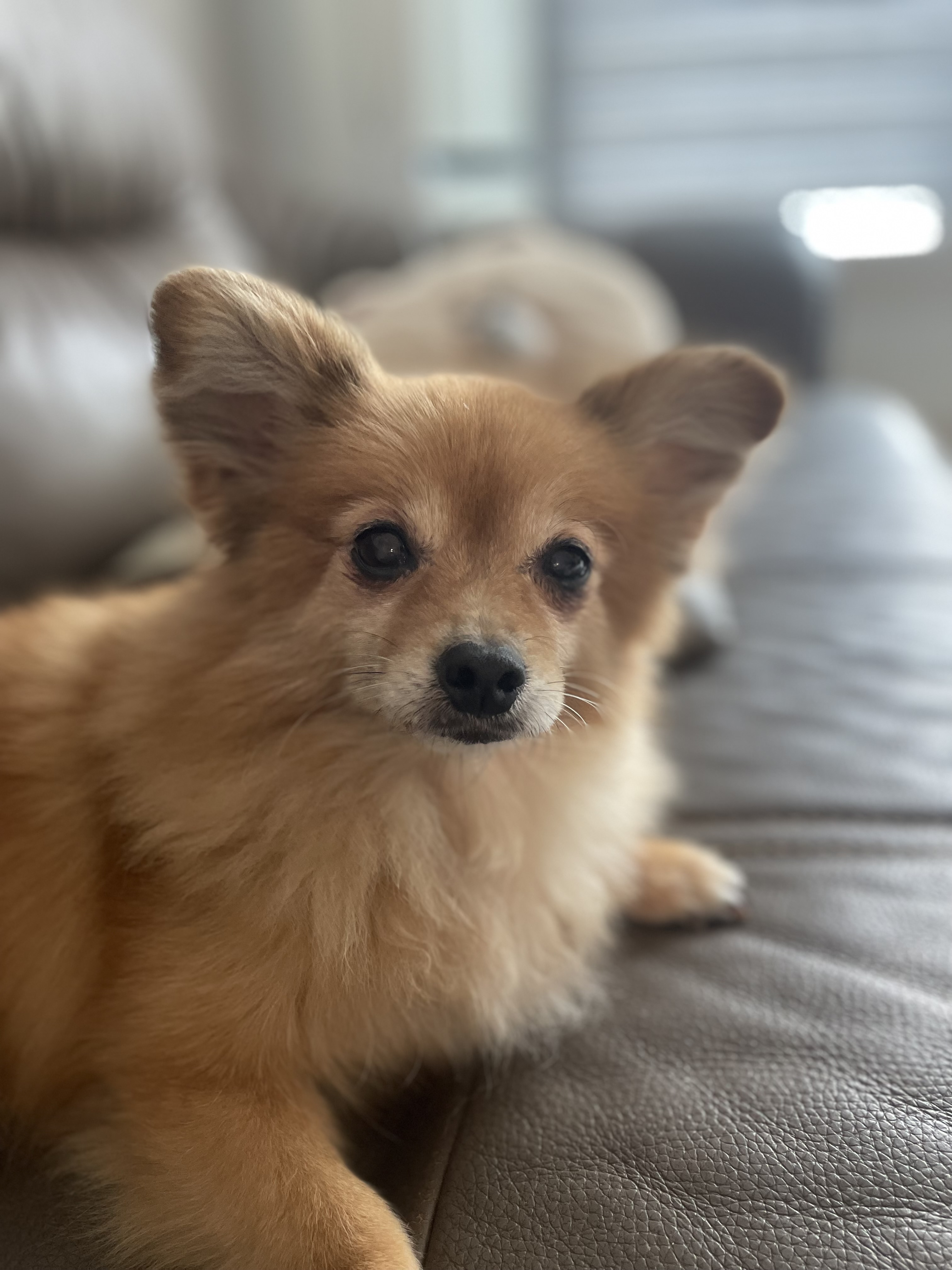 티거(곤지암2-워터)와 벌써 4년이네요.