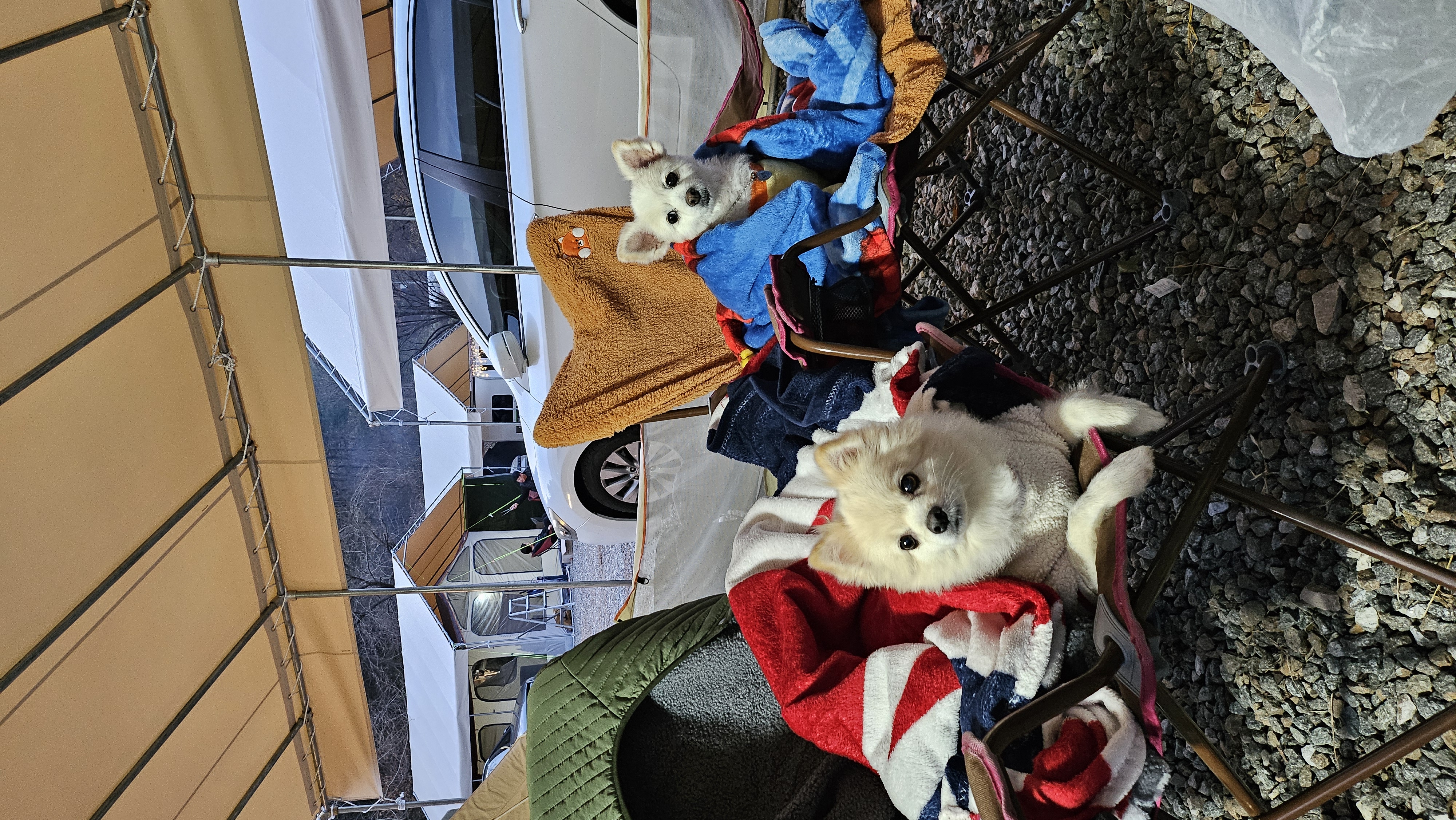 땅콩4년차(곤지암몽쉘)