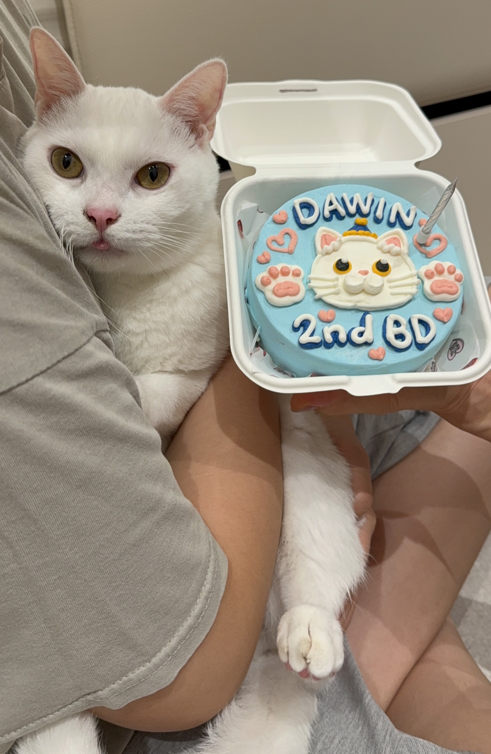 다윈이는 두살!