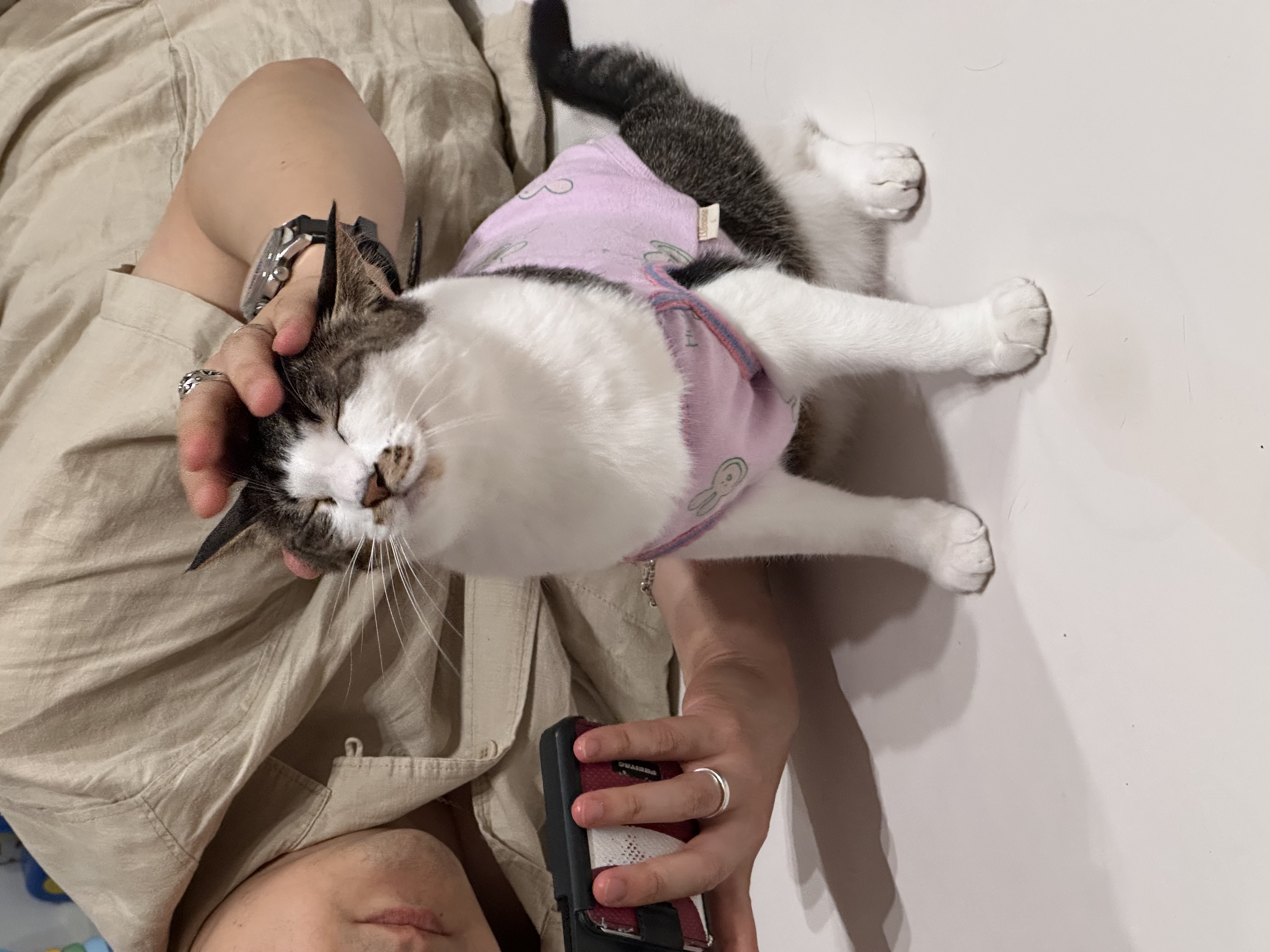 꼬무(동자연_유노)와 벌써 2년☺️