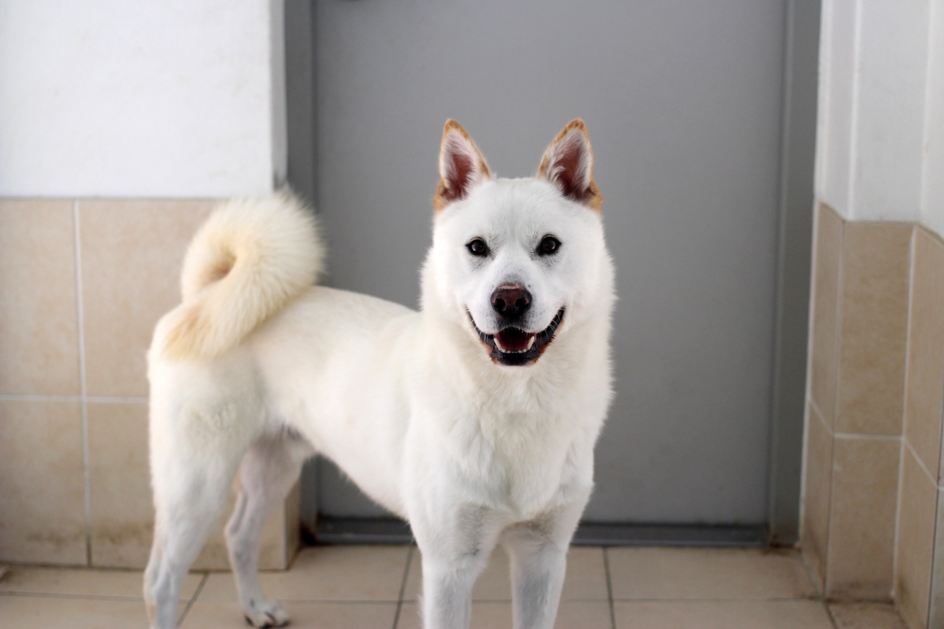 봄이,봉봉이,쁘띠,수리,엠바,여름이,영이,예쁘니,오층이,왕구의 사진입니다.