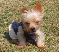 '센터의 후예'들을 더 자주 만날 수 있는 인스타그램으로 들어오시지 말입니다!