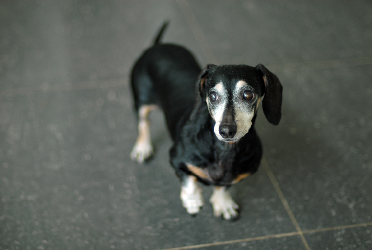 복지센터 사무실 친구들을 소개 합니다.